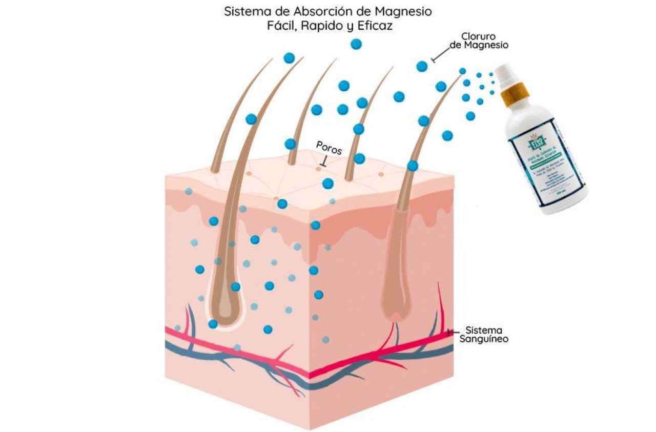 El aceite de magnesio de Etnolabs es extraído del mar Zechstein