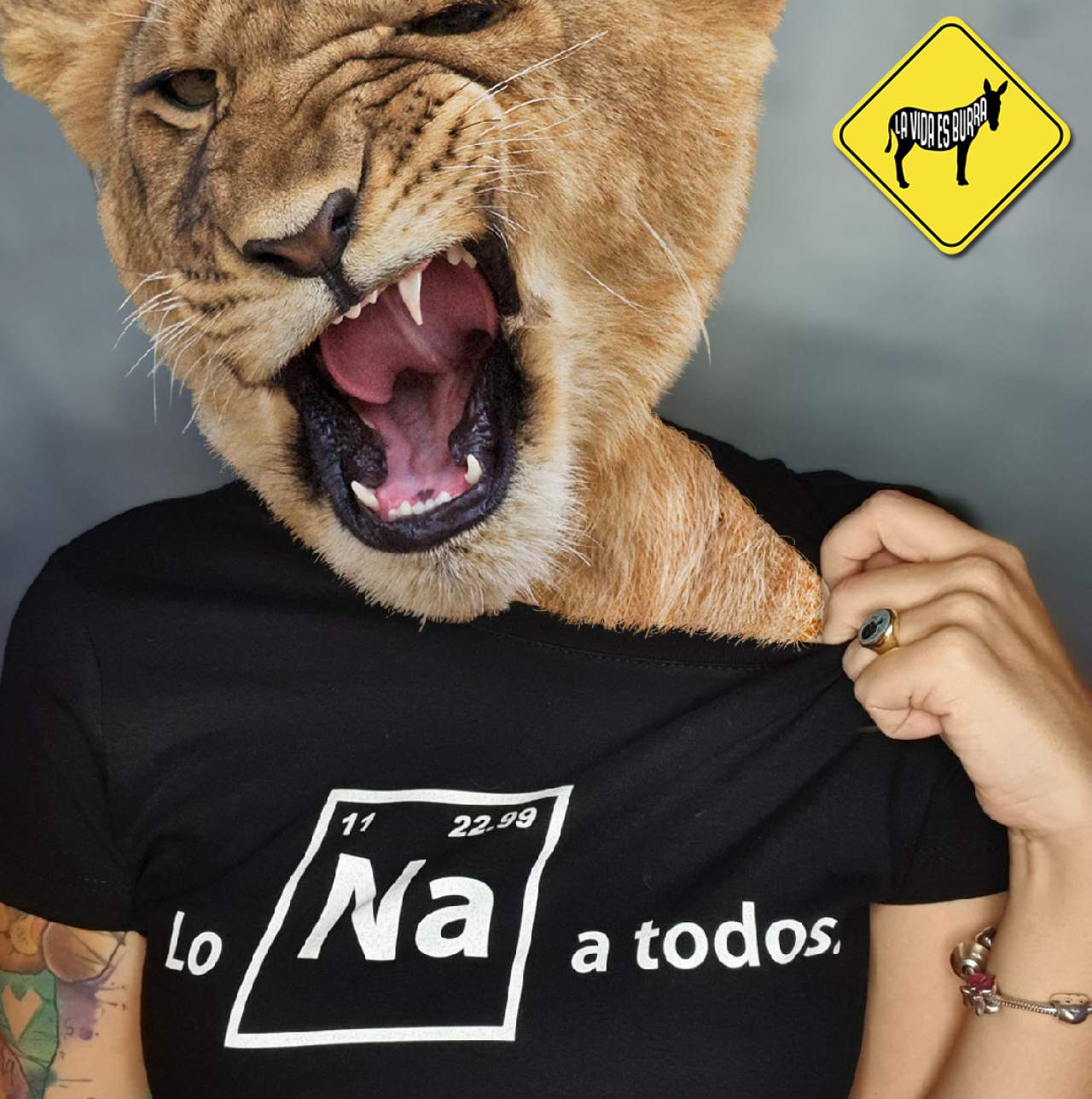 La tienda Tres en un Burro diseña camisetas originales