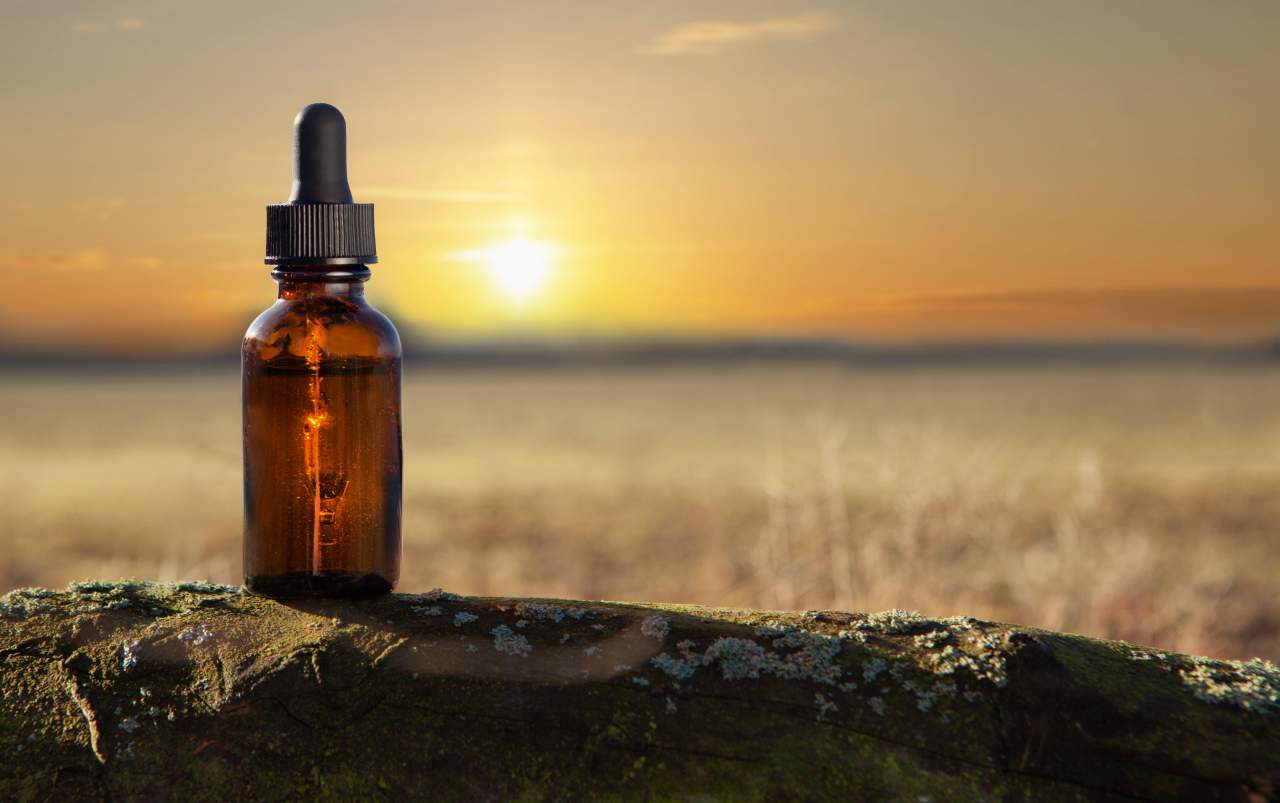 ¿Qué propiedades tiene el Elixir Yatamansi? ¿Por qué es tan exitoso?