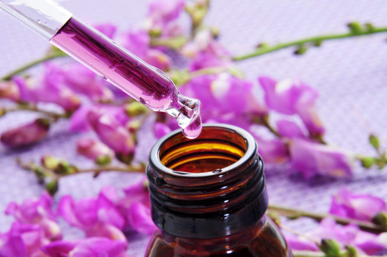 Terapia floral para vivir mejor: Flores de Bach
