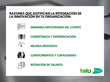 Talio - La innovación no es una opción, es un imperativo en los negocios