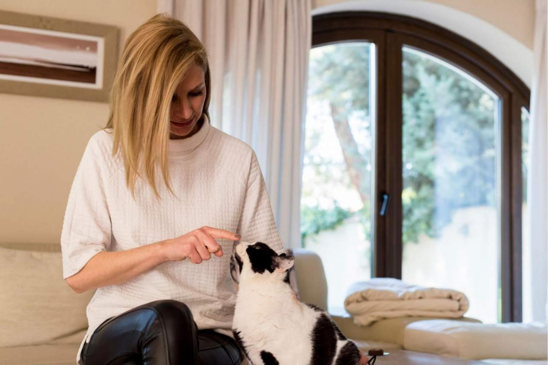 La Encantadora de Gatos enseña cómo educar a un gato para que no muerda