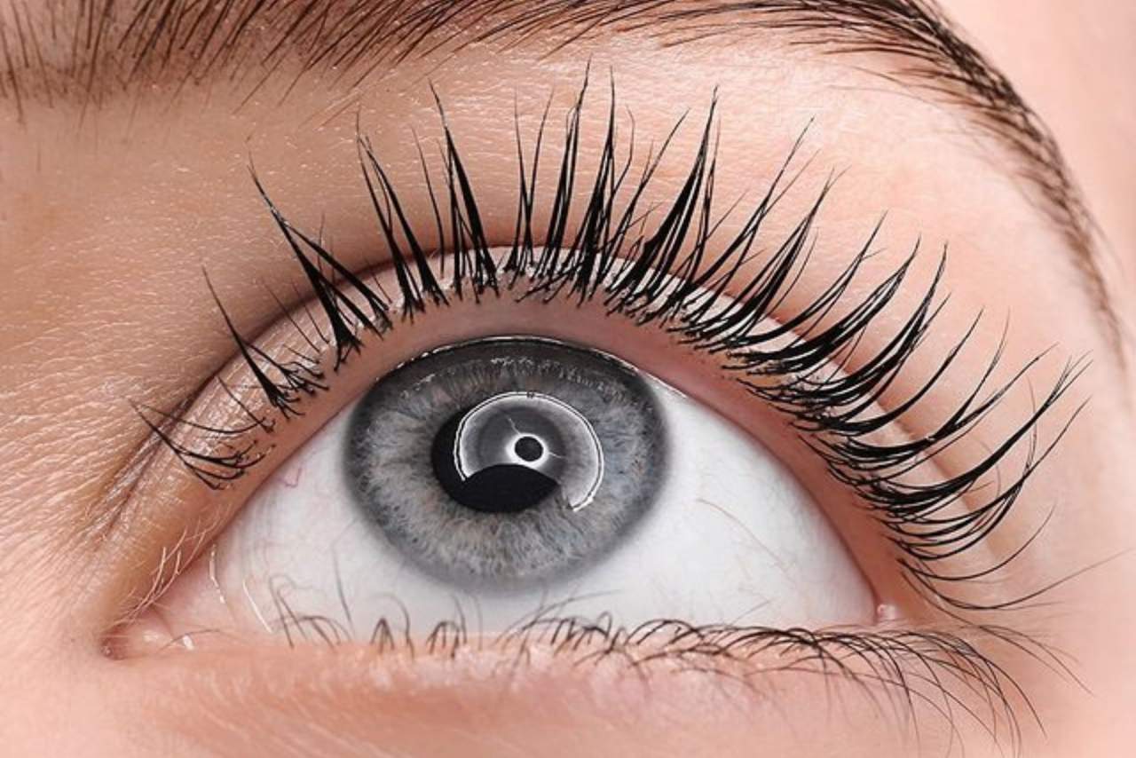 Las franquicias mejor valoradas en España: Lashes & More