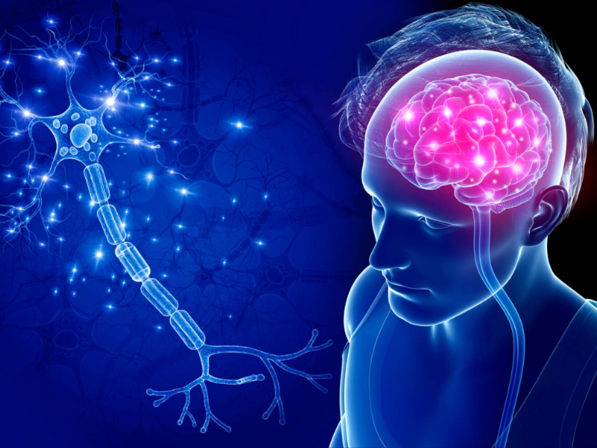 Los suplementos que ayudan a mejorar el rendimiento cognitivo sin efectos secundarios: Nootrópicos naturales de Nutribiolite