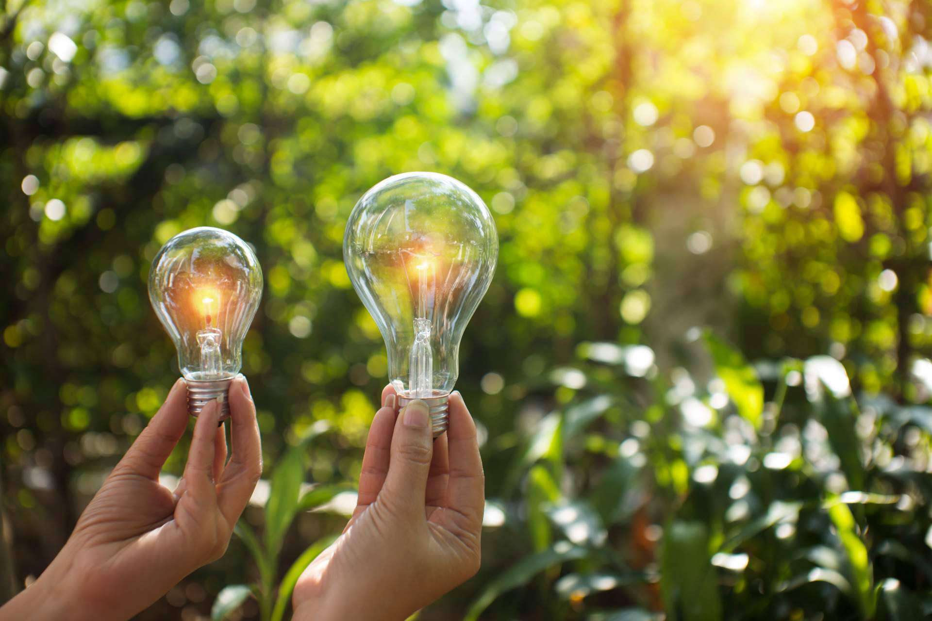 P&L Global asegura que Colombia se convierte en el mejor país para establecer una empresa de energías renovables