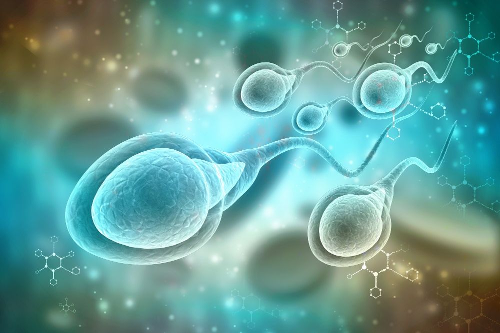 La fecundación con espermatozoides defectuosos puede provocar pérdidas de embarazo y enfermedades en los hijos