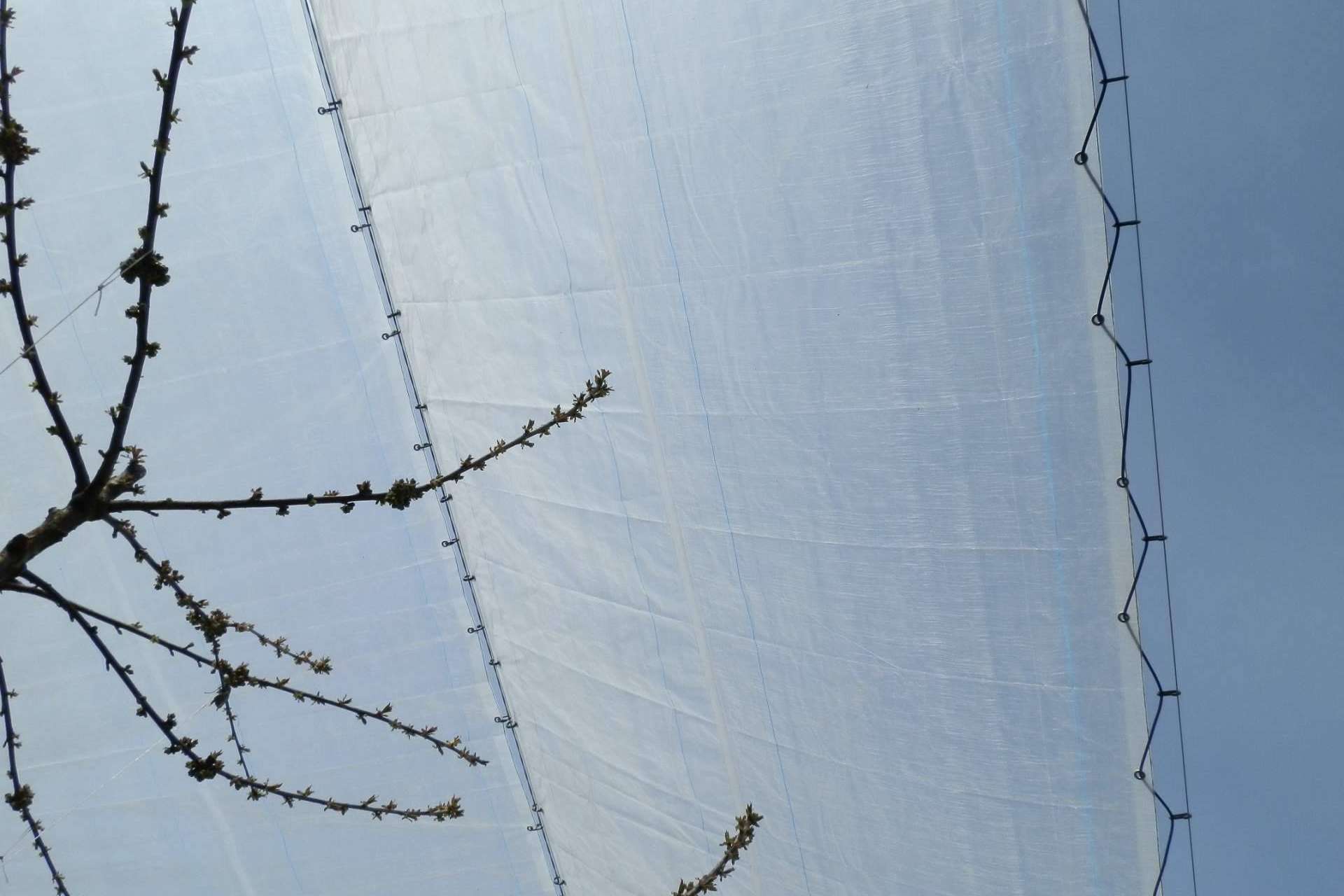 Agralia apuesta por la rentabilidad de la protección de cultivos