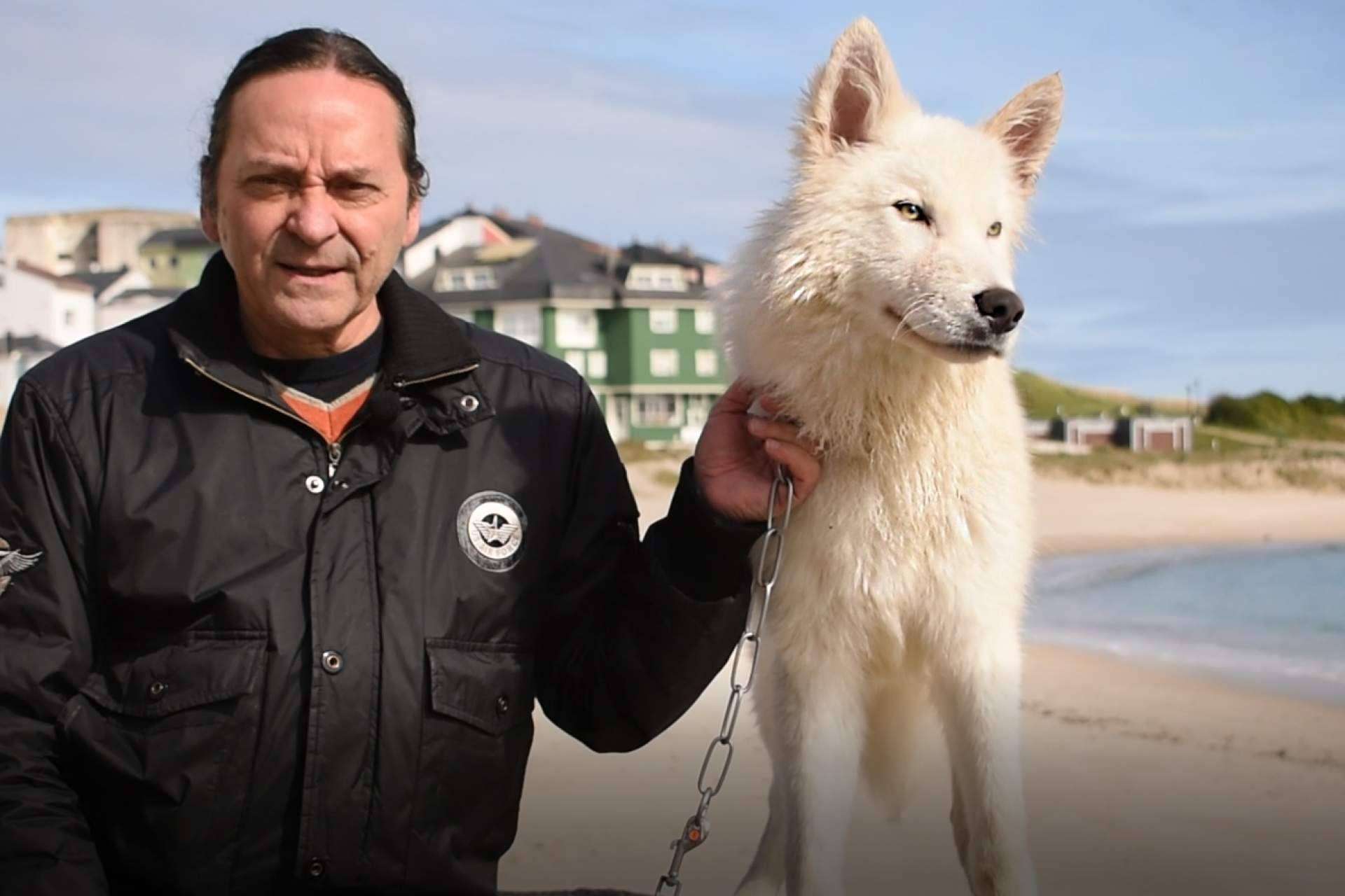 Los piensos Wolves Legacy se fusionan con la escuela internacional de Orlando Eijo
