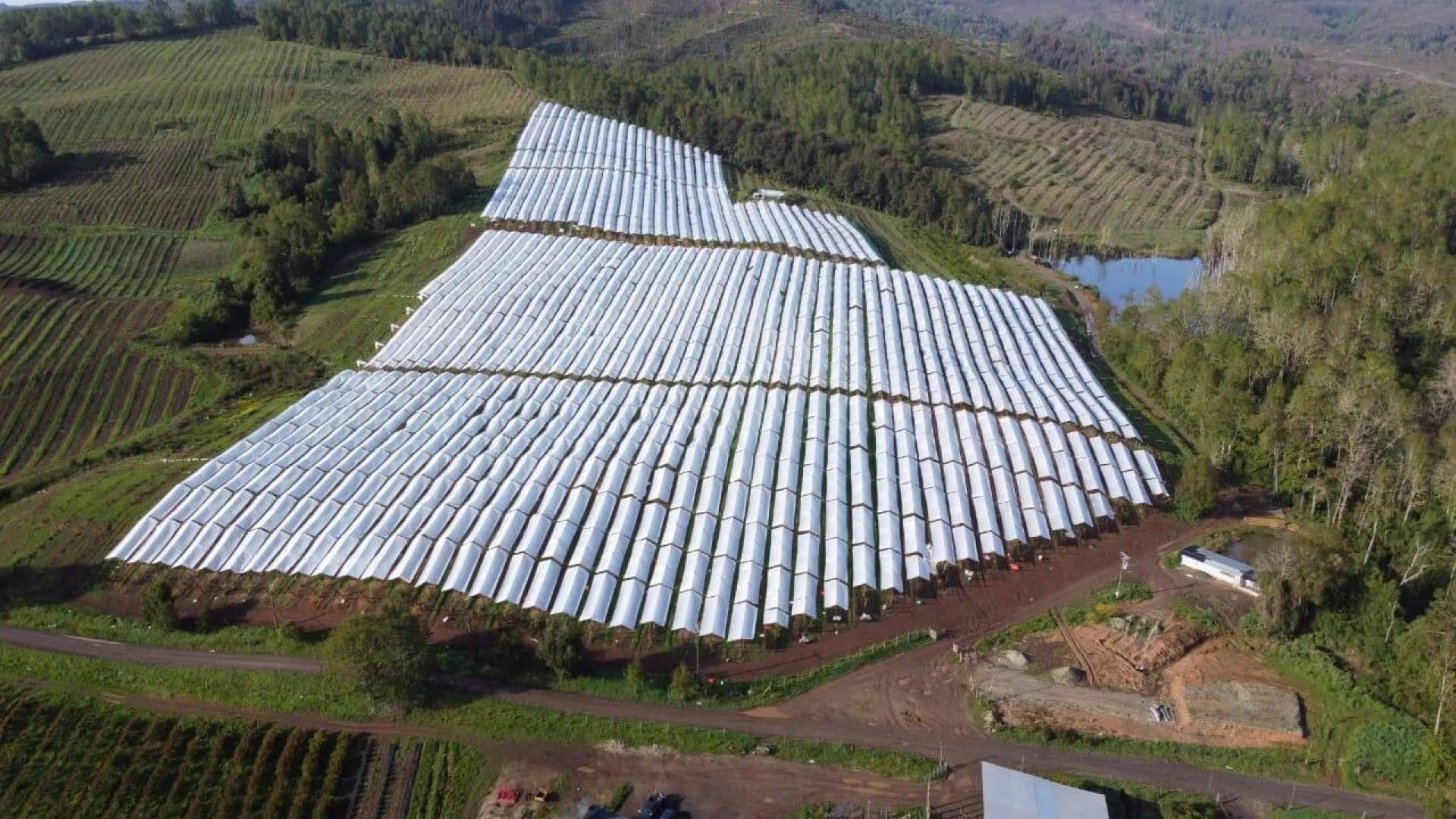 El gran paquete tecnológico de Agralia: AGRICOVER