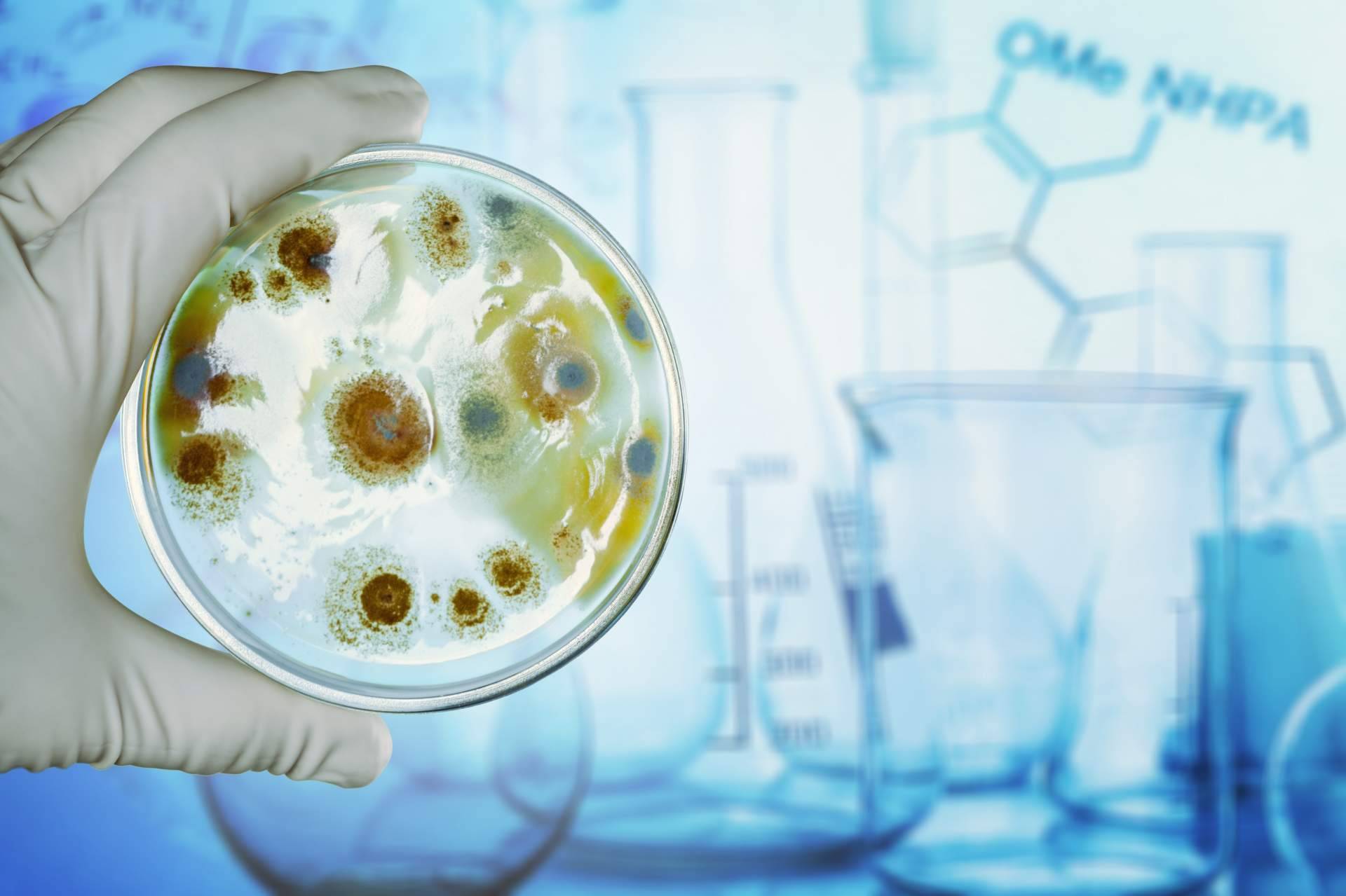 Dr. Fernando Ruger Viarengo: entrevista al director de la unidad de microbiota intestinal UMEBIR