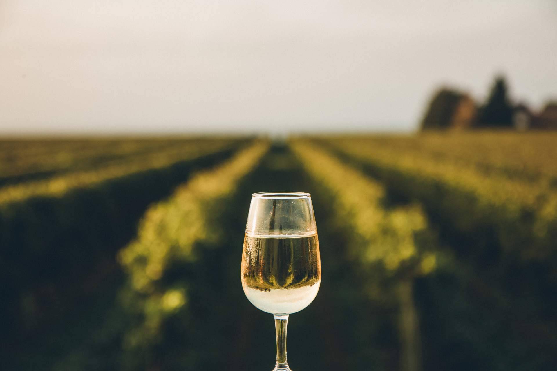 De Gálvez ofrece los vinos del Marco de Jerez con un sabor único