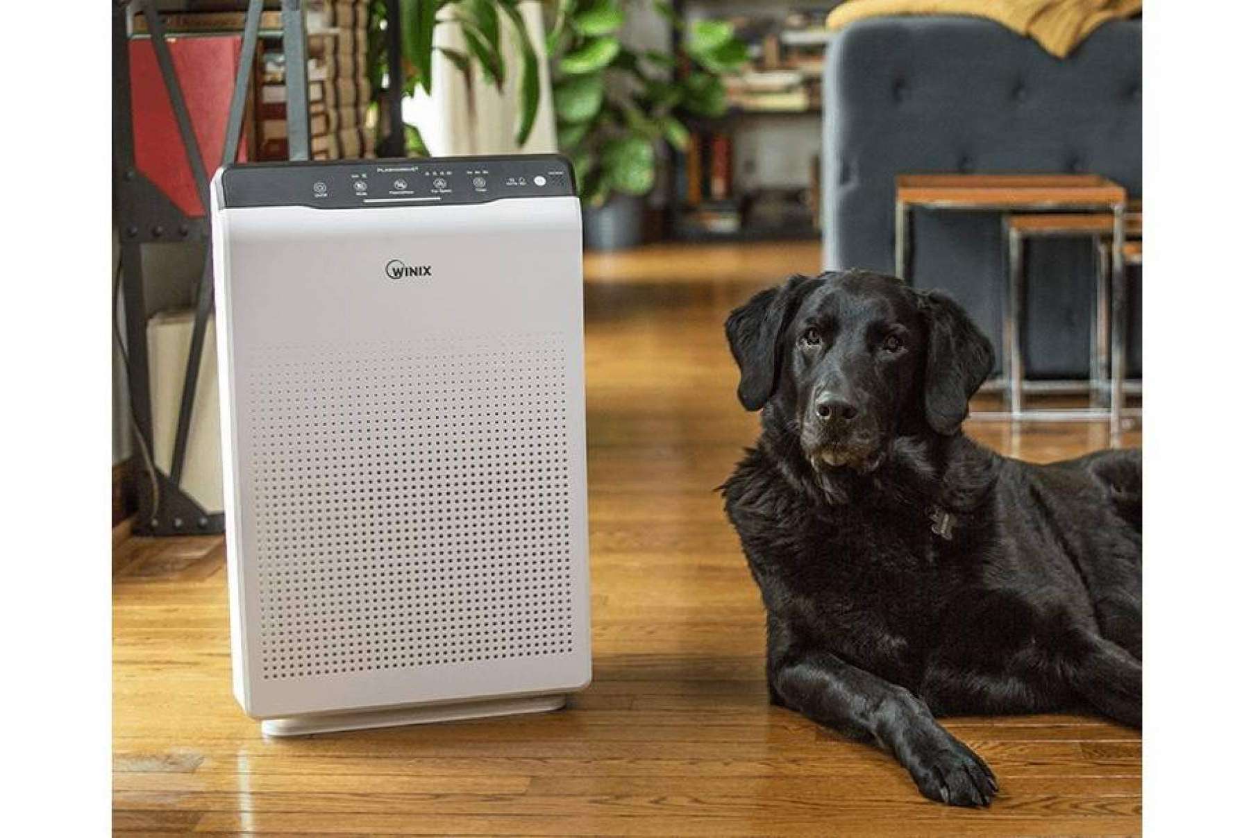 Protect Soiart Distribución dispone de los purificadores WINIX