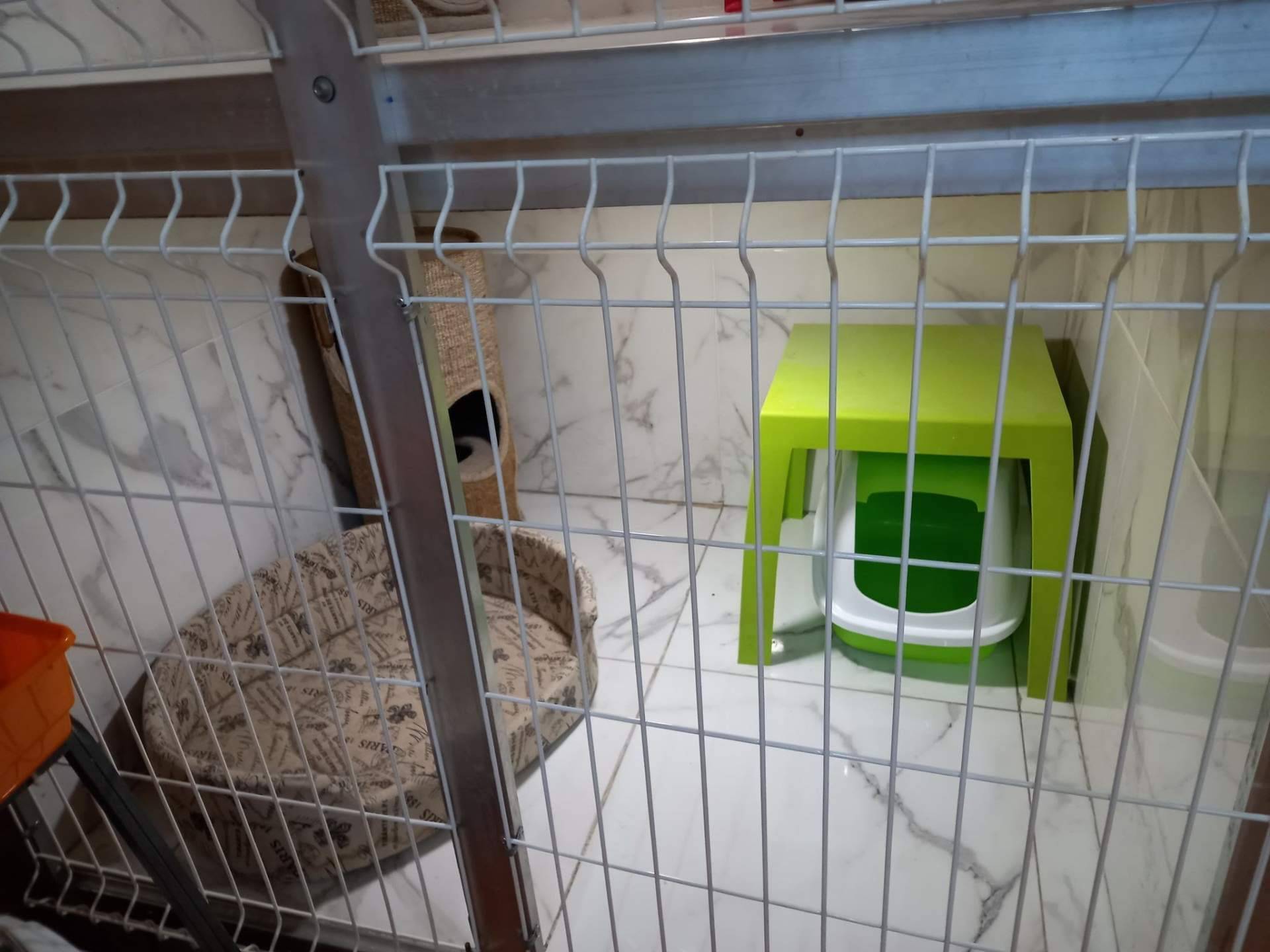 El hotel de mascotas en Irún, Amaita Mascotas