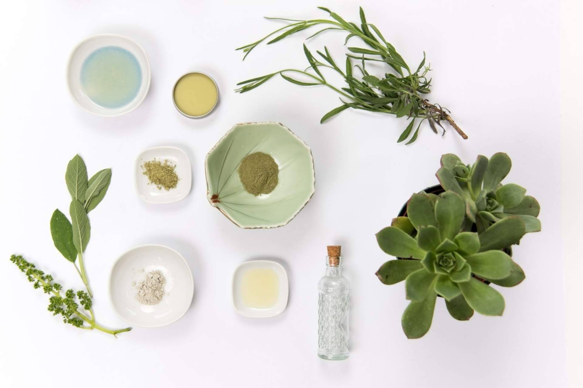 Kaeso: la revolución de la cosmética natural con productos ecológicos y orgánicos