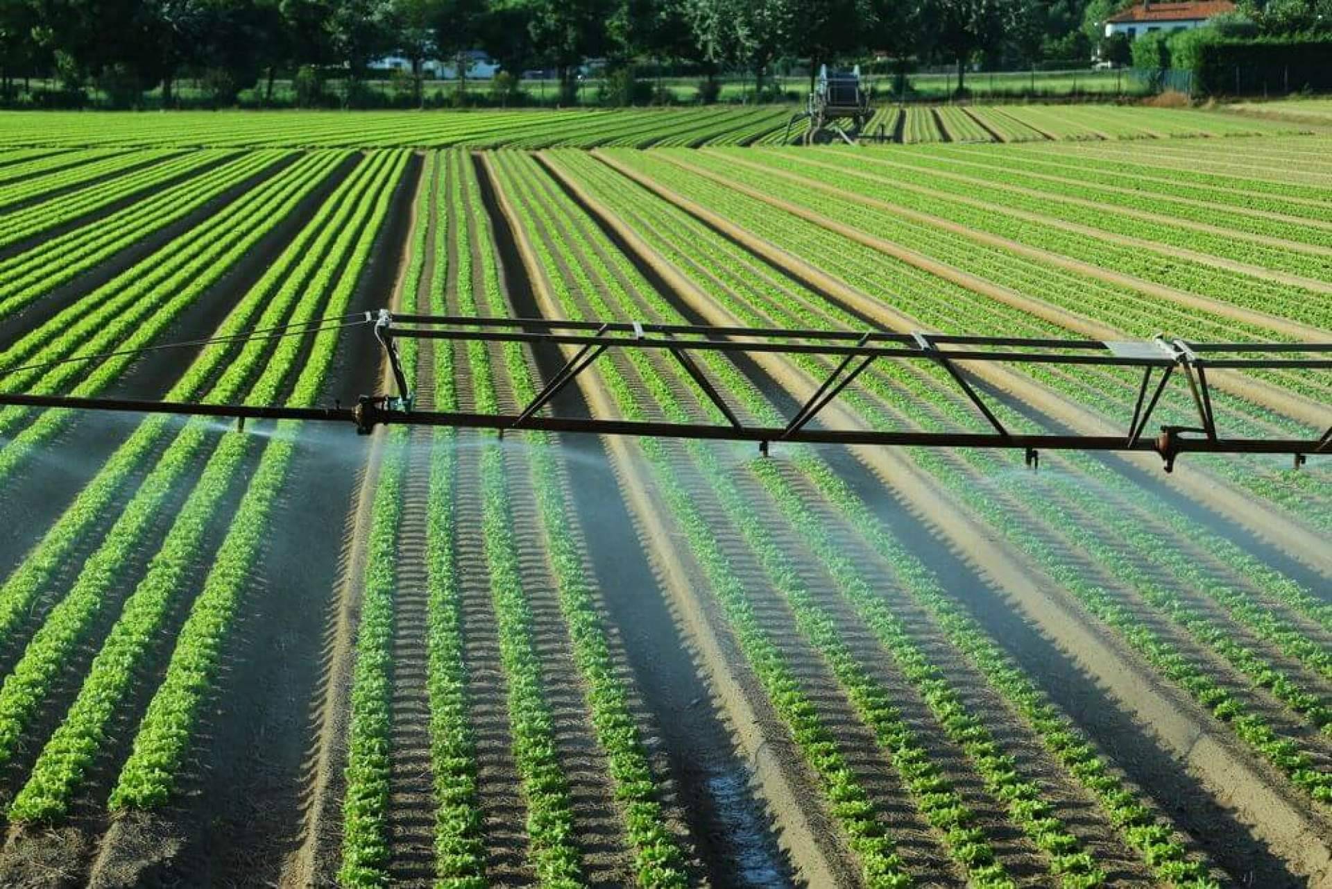 ASE Optics Europe colabora en el desarrollo de un sistema de teledetección para mejorar los sistemas de riego y aumentar la productividad agrícola