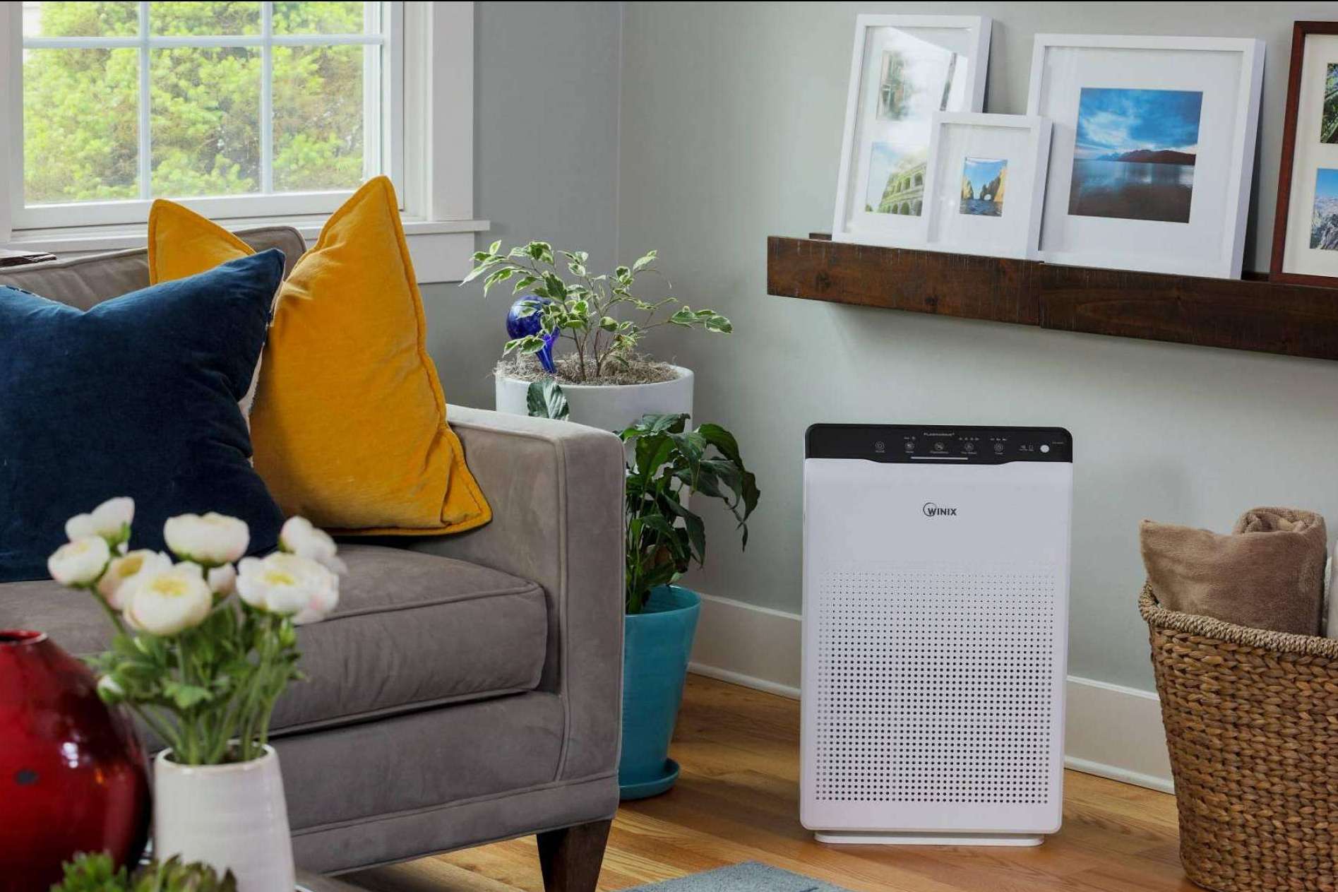 Aire limpio con los purificadores WINIX de Protect Soiart Distribución