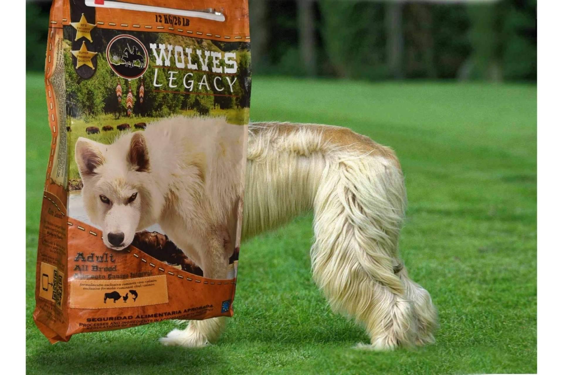 Wolves Legacy: los mejores piensos para perros ¿Deberían ser variados?