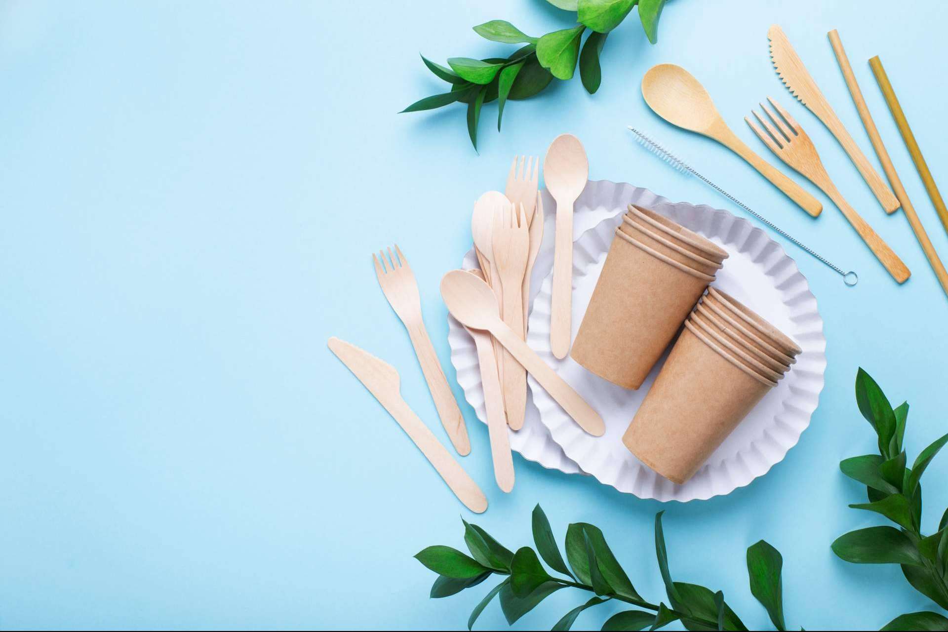 Ecofiesta: menaje ecológico desechable para celebrar y cuidar el medioambiente