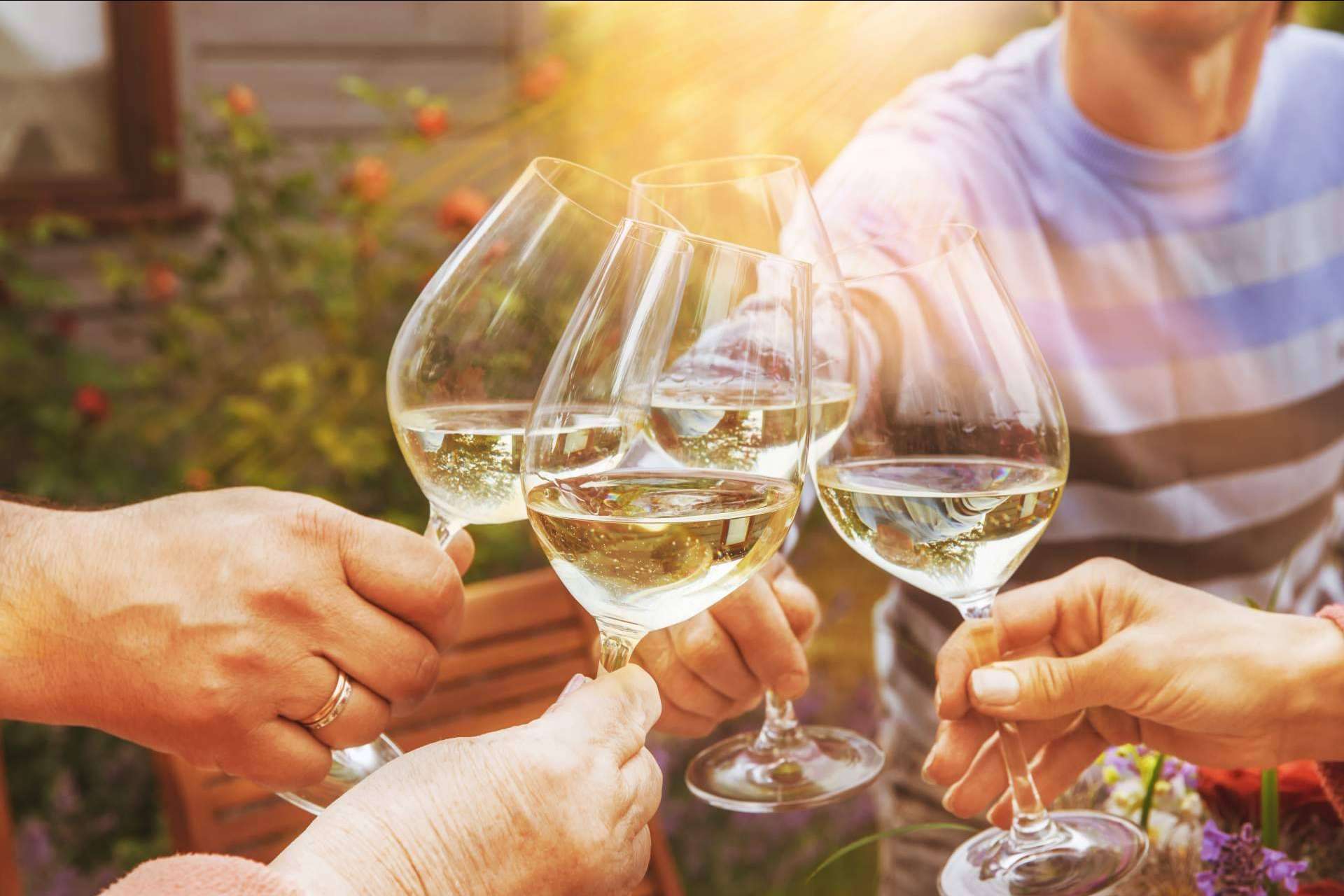 De Gálvez presenta la colección de tendencias: el arte de compartir el vino