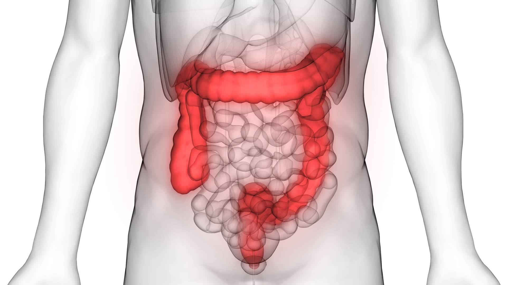 Las claves para un diagnóstico y tratamiento adecuado de colon irritable, por el Dr. Fernando Ruger Viarengo