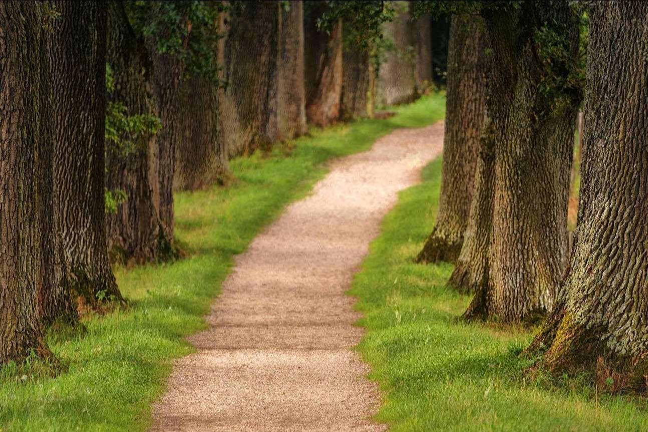 ¿Cómo luchar contra el cambio climático a través de los centros escolares con Ecoescuela?