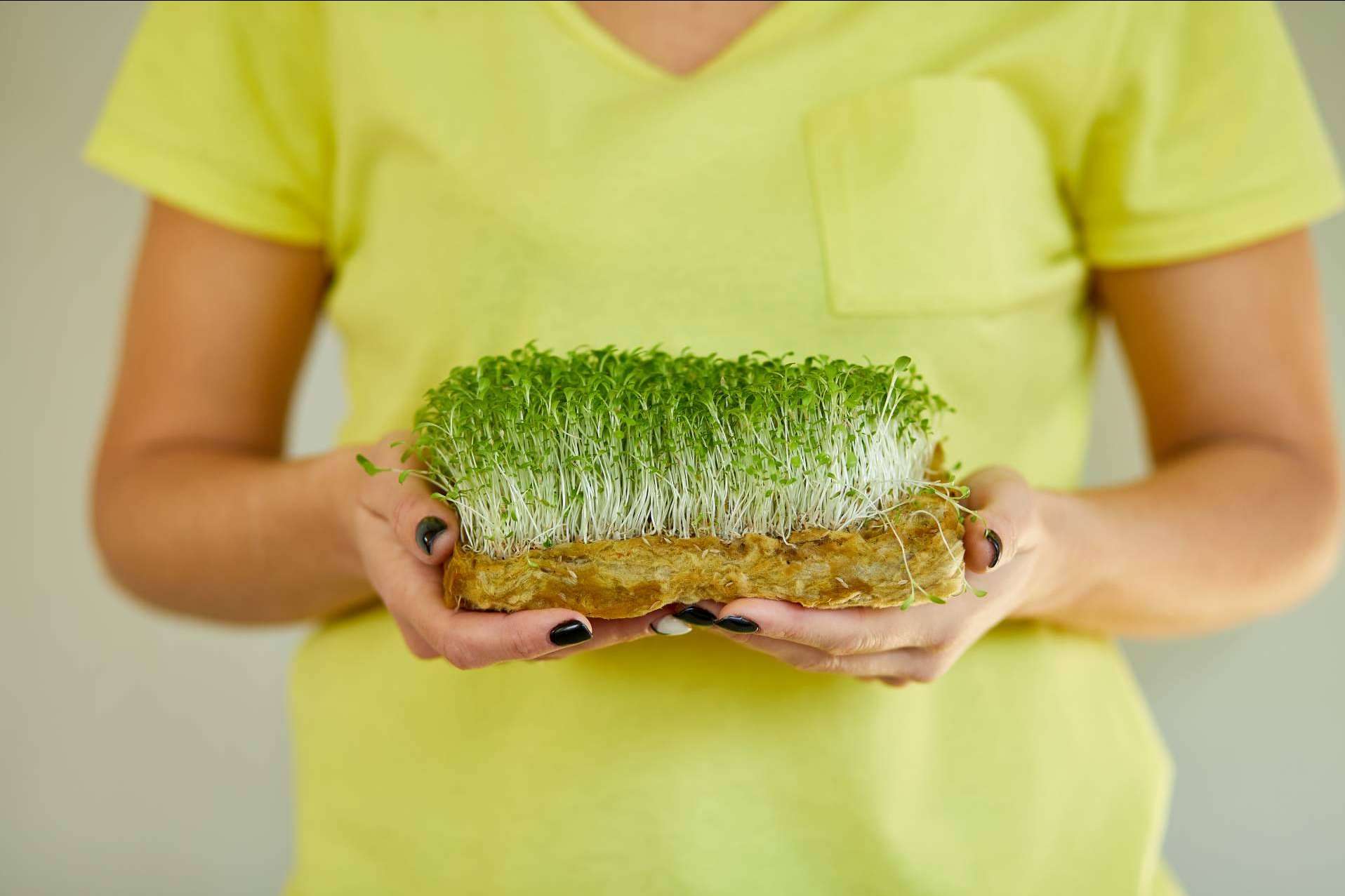 ¿Qué hace que a un alimento se le considere como un superalimento?, los beneficios de Mediterranean Superfoods