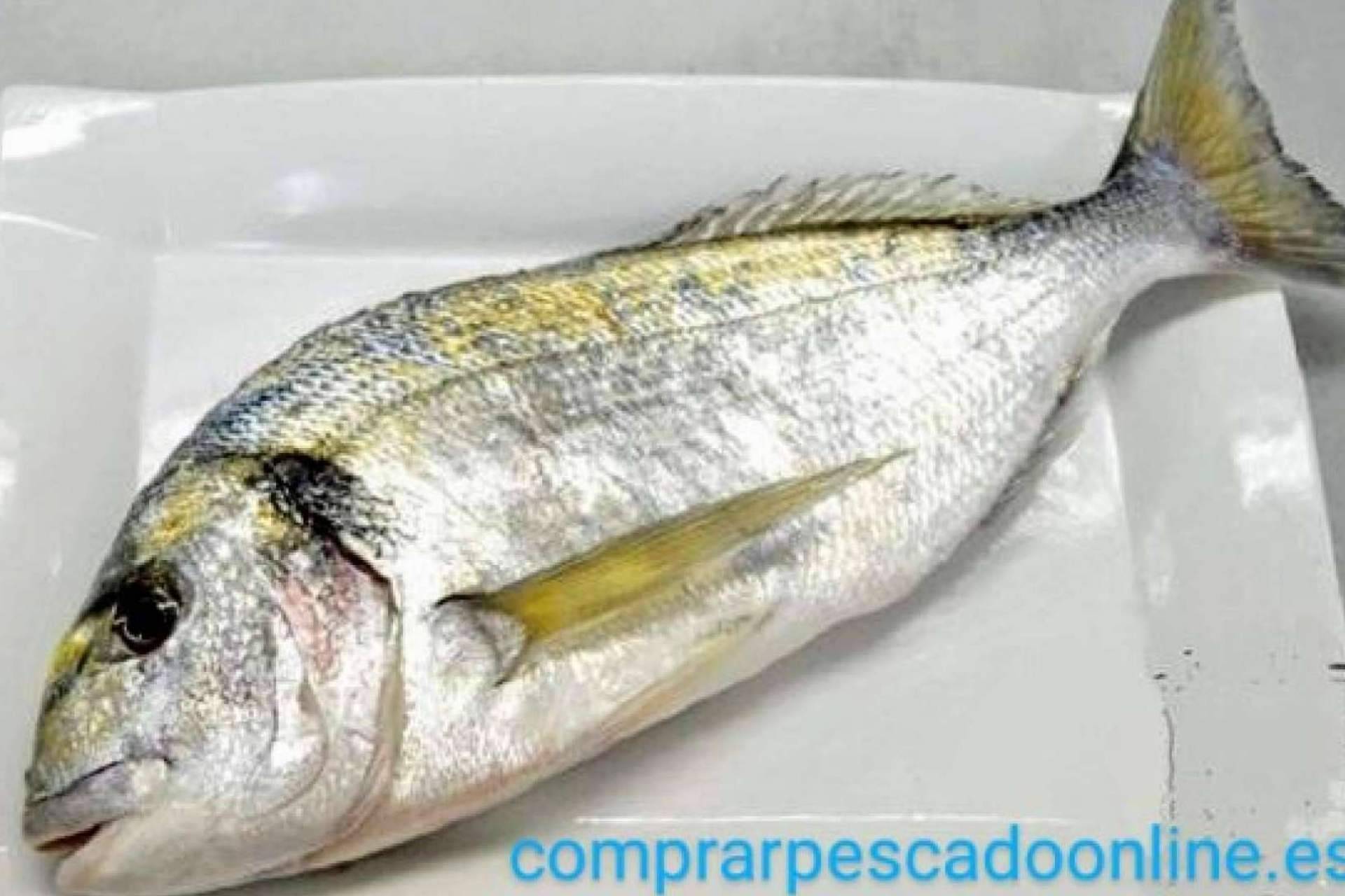 El pescado blanco y el pescado azul de Comprarpescadoonline son ingredientes clave para una dieta equilibrada