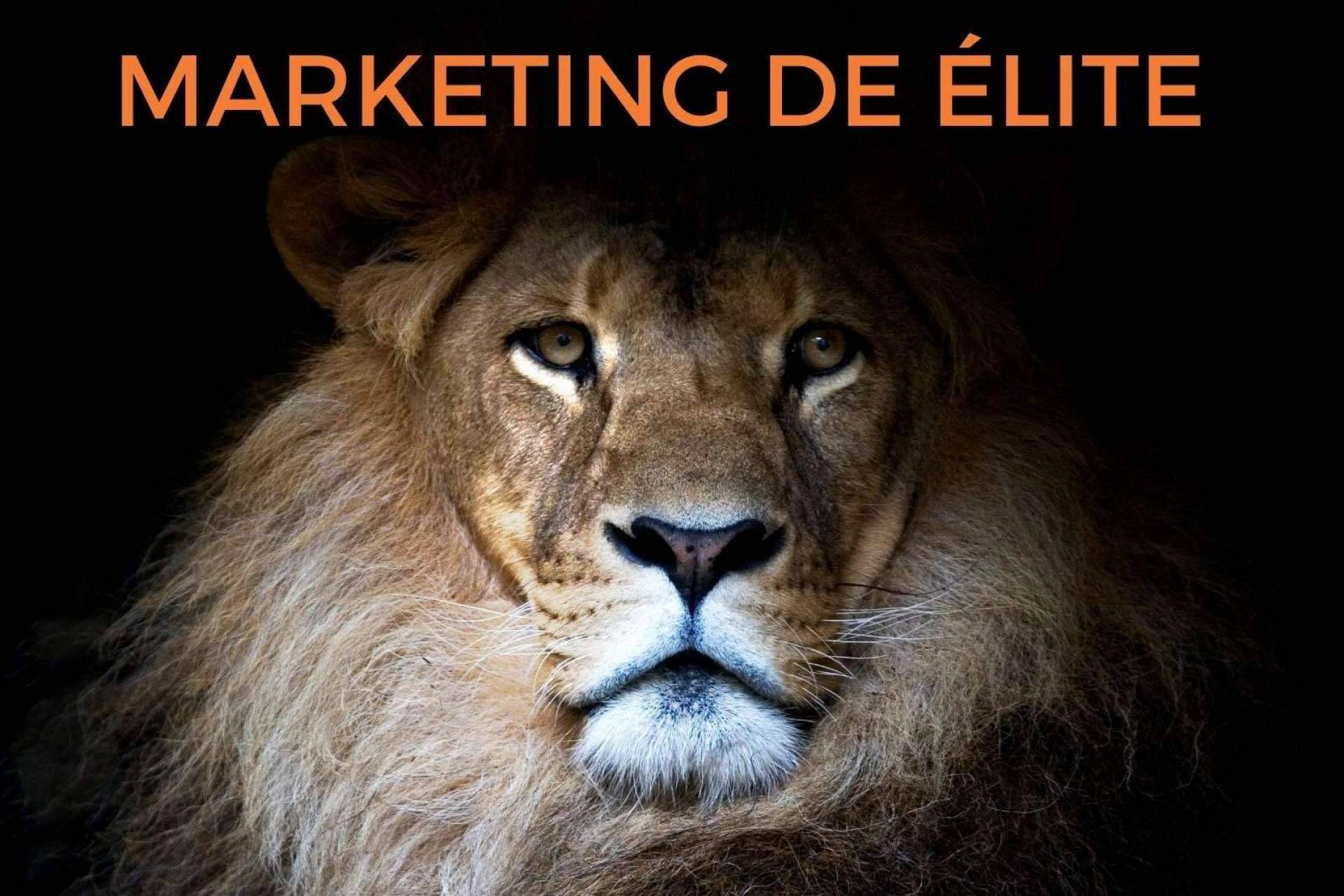 El León de Ventas publica su nuevo libro, Marketing de Élite