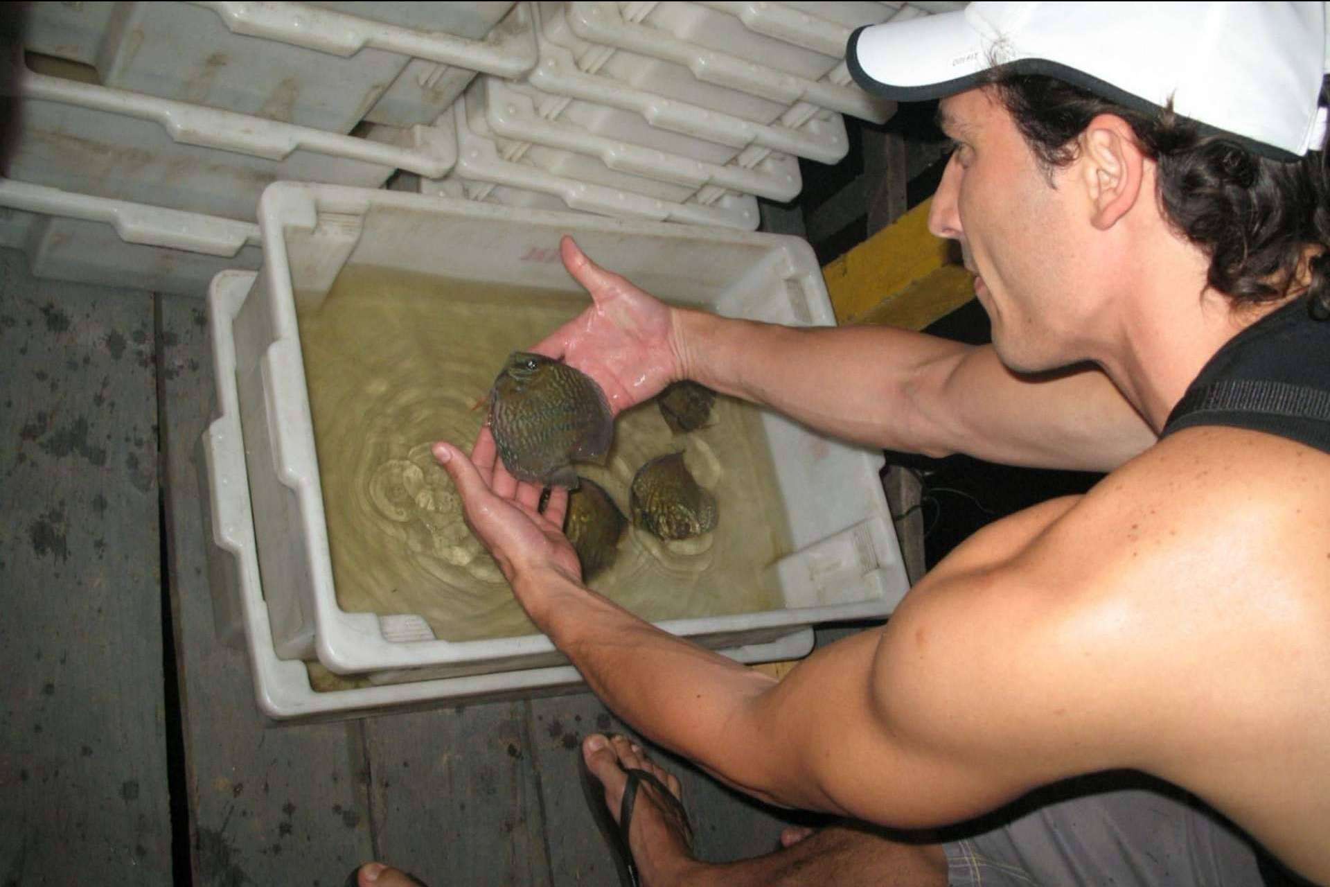 La inteligencia artificial que evitará la muerte de millones de peces tropicales