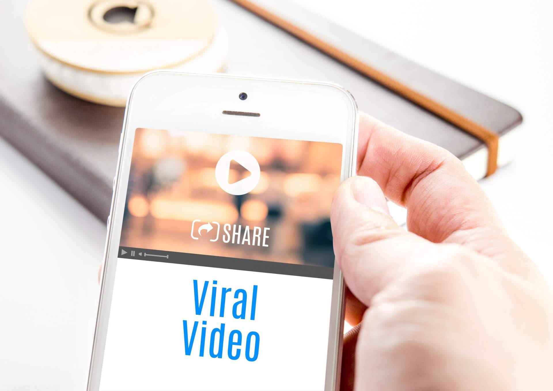 El lector encontrará todos los contenidos virales del momento en la página web Virolico