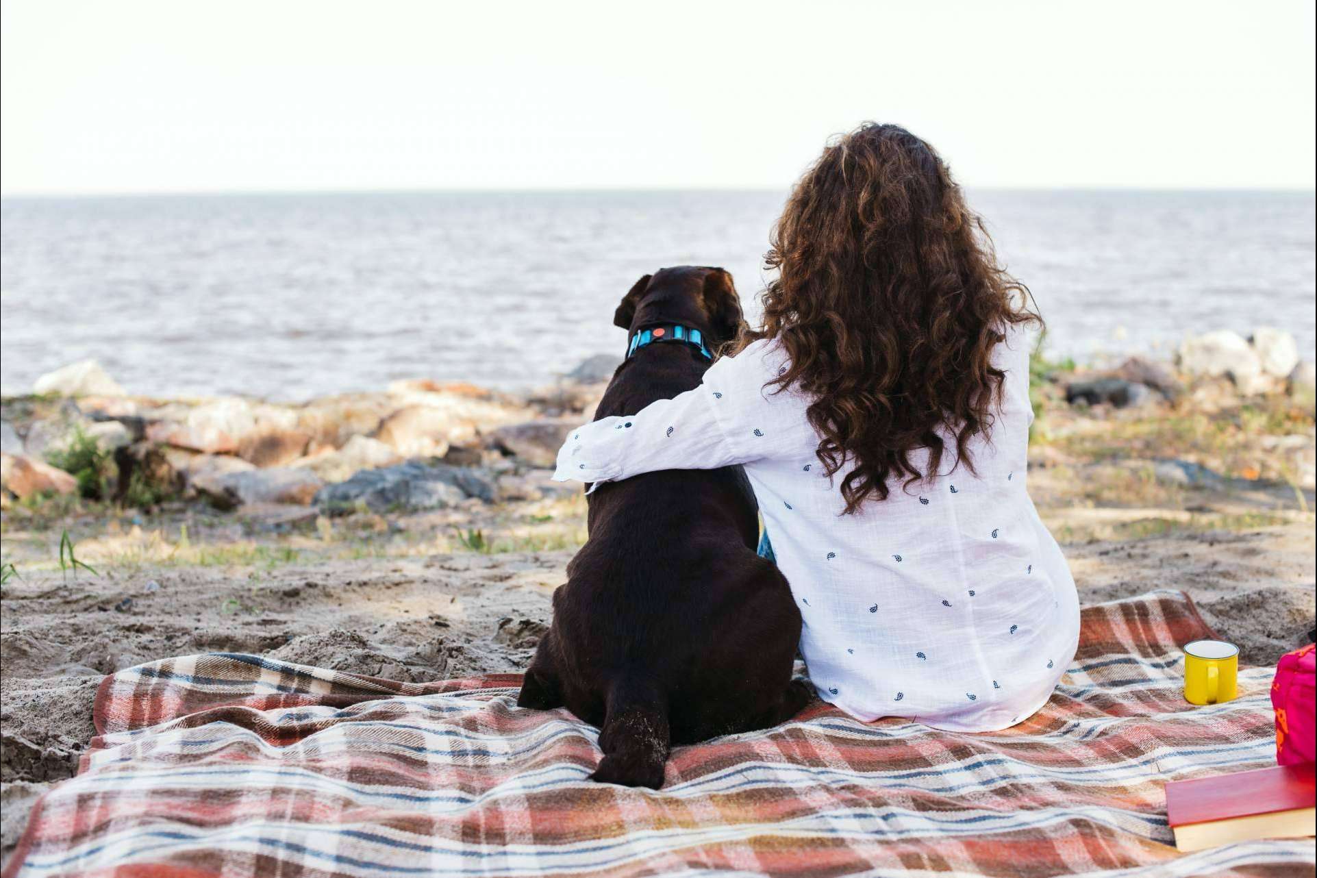 De Tapas con Mi Perro, la start-up que busca la inclusión de las mascotas y sus familias en locales y actividades de ocio