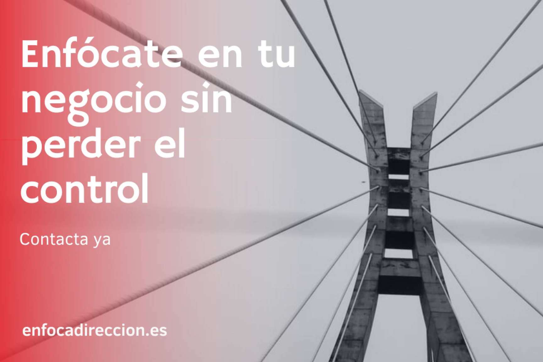Financiación para empresas ¿Qué opciones existen a día de hoy?, por Enfoca Dirección