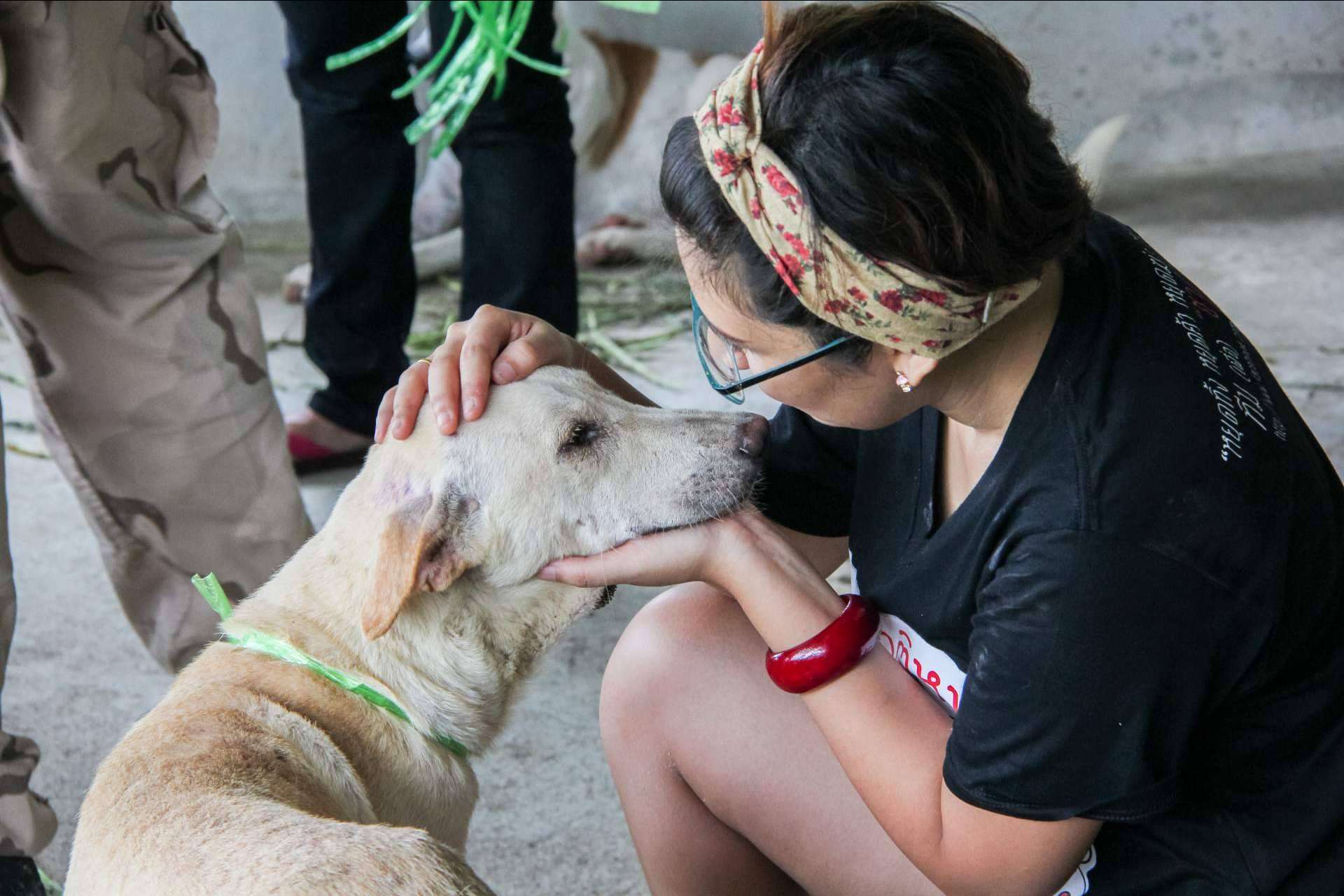 La tienda online propia de Adopta un Animal está destinada a ayudar a fundaciones y protectoras de animales