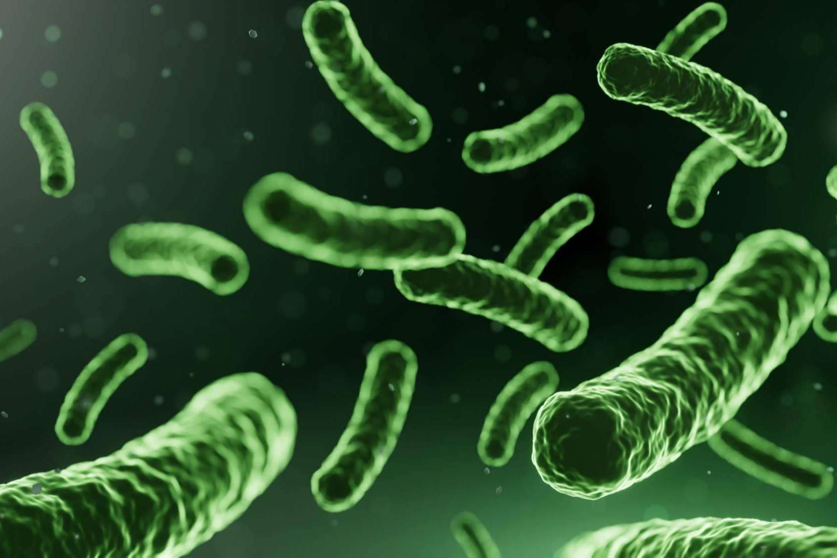 Tratamiento de microbiota con probióticos y prebióticos