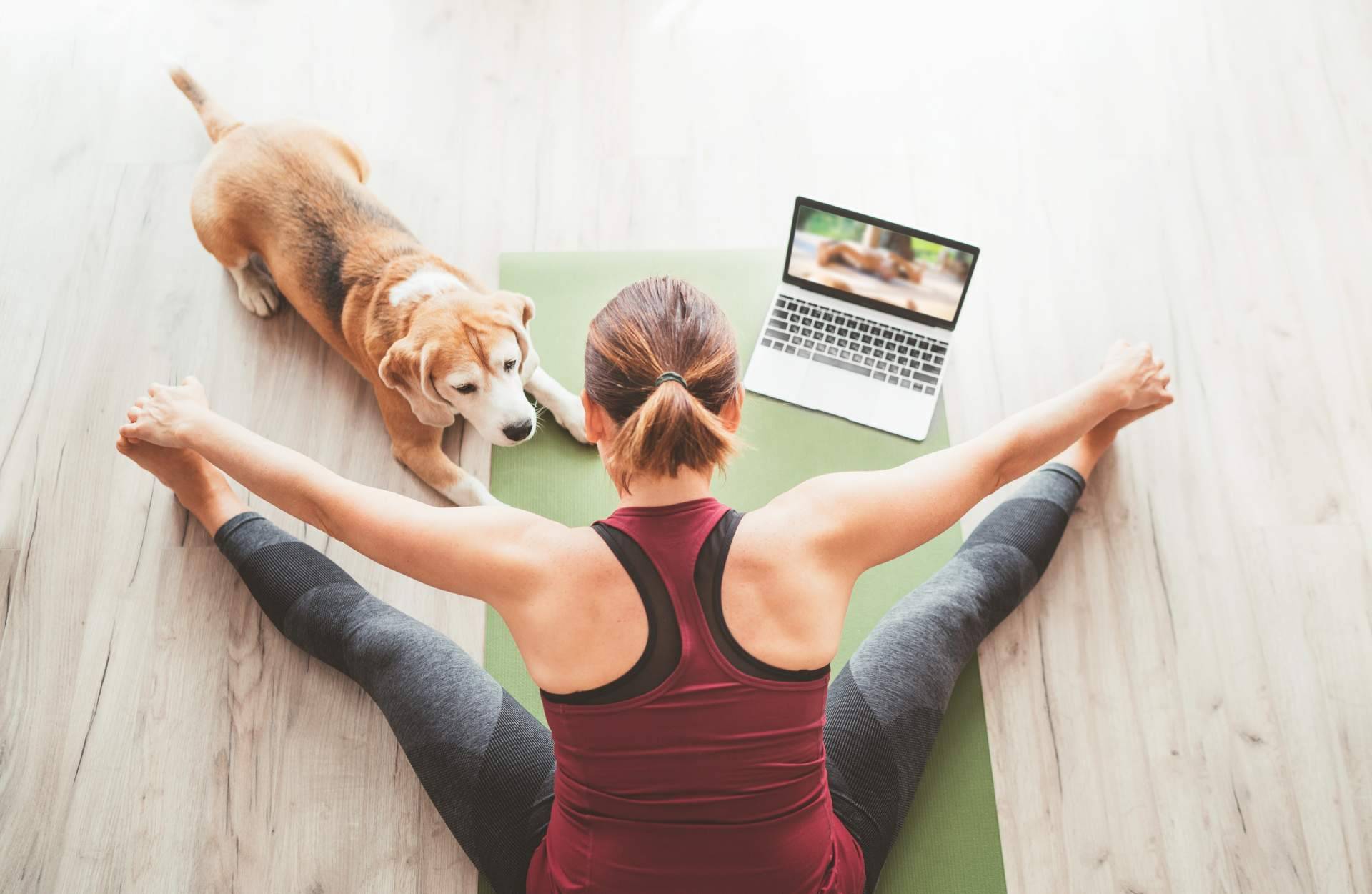 Diferentes cursos online para profundizar en el yoga, por Profesorado de Yoga