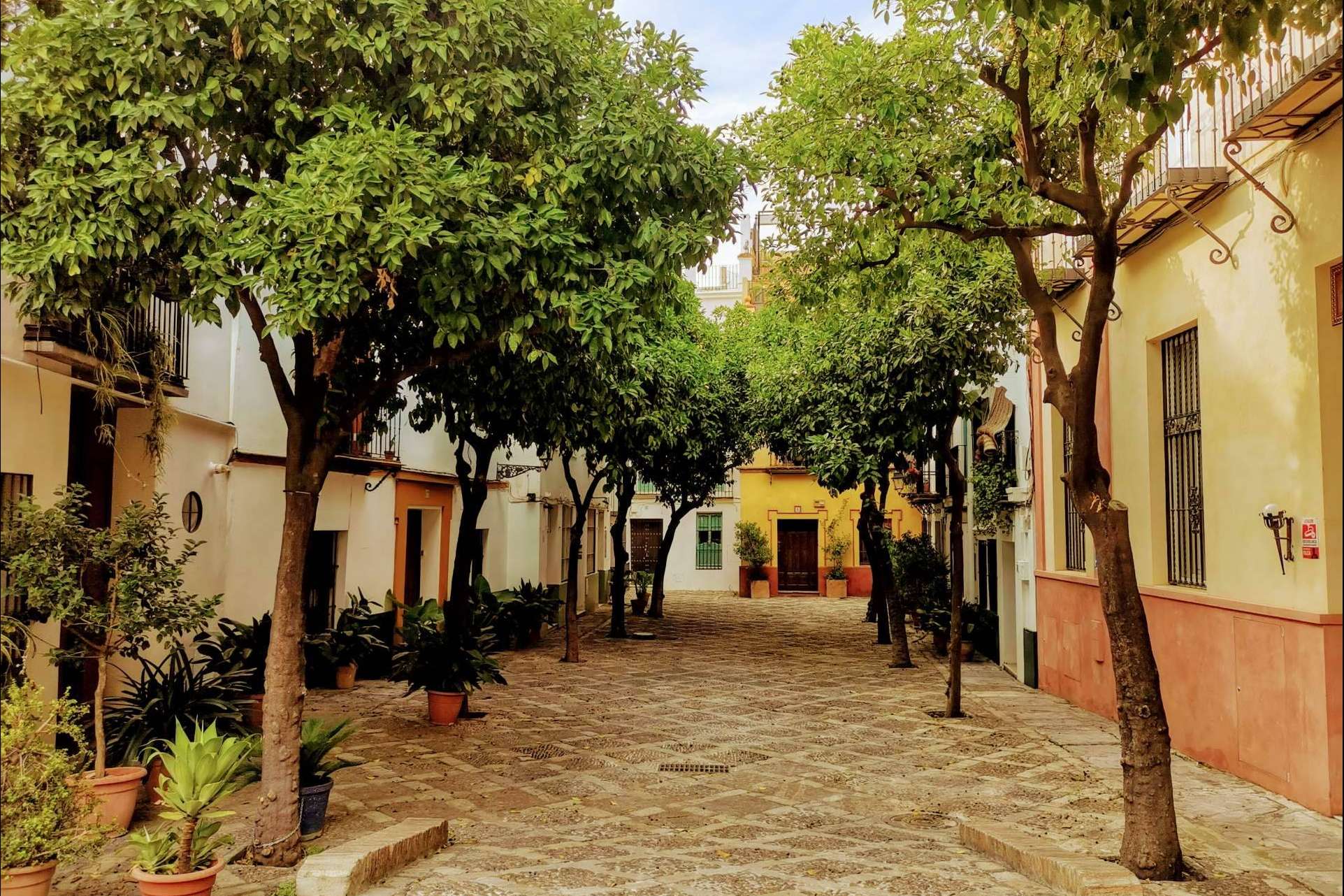 Visitas guiadas en Sevilla con Tu guía de Sevilla