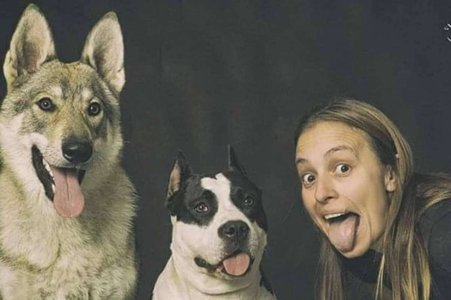 Las ventajas de una guardería de día para perros, por PERROBUENO