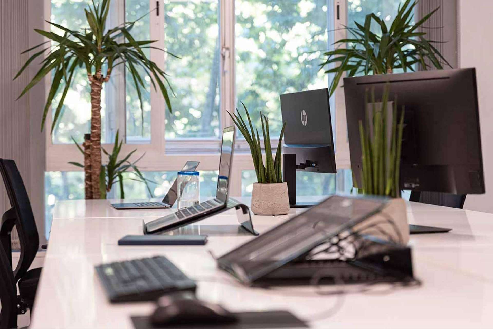 OXYGEN coworking en Madrid permite tener una oficina virtual