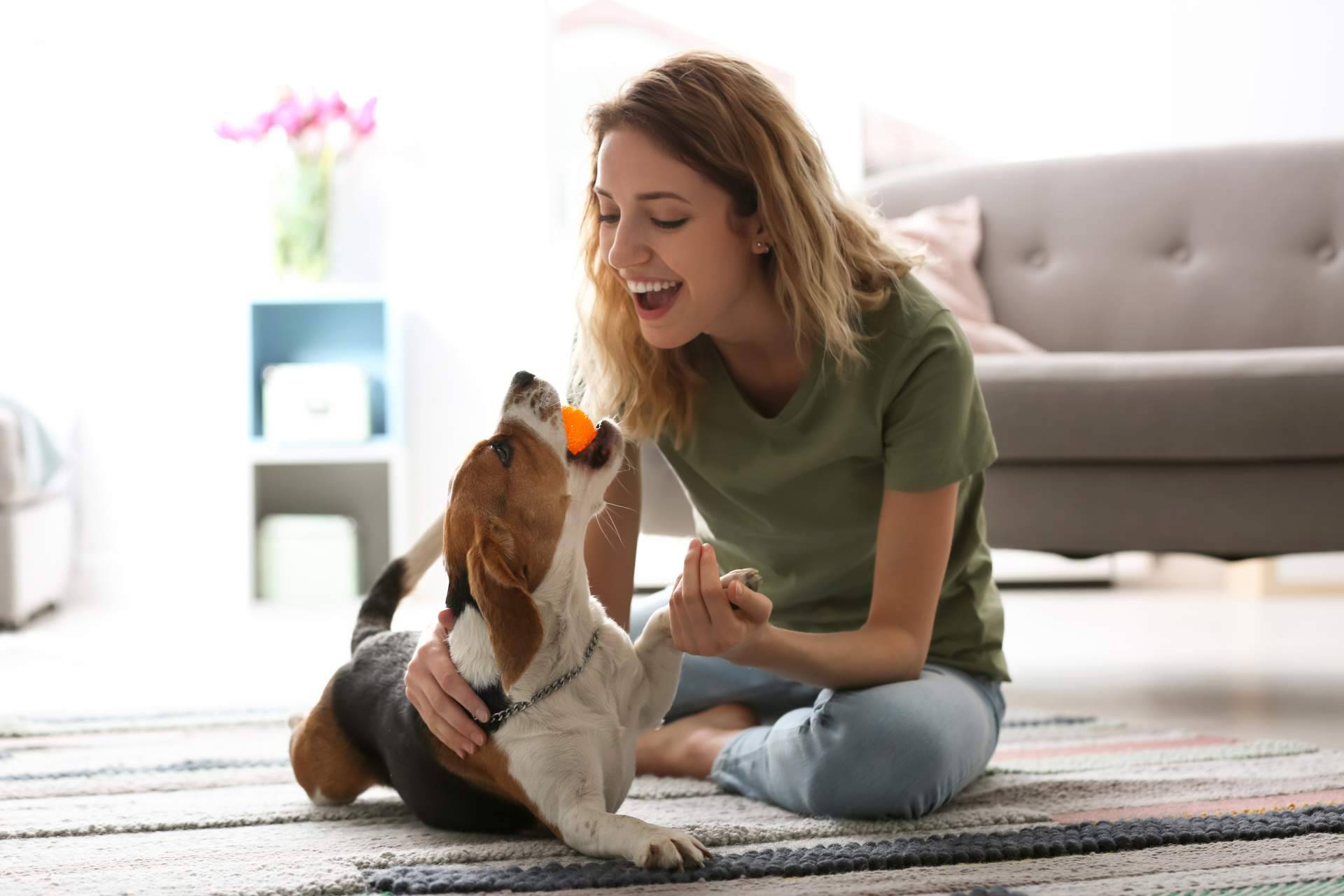 Aprender de antrozoología (ciencia del vínculo humano-animal) para conectar con los animales de compañía