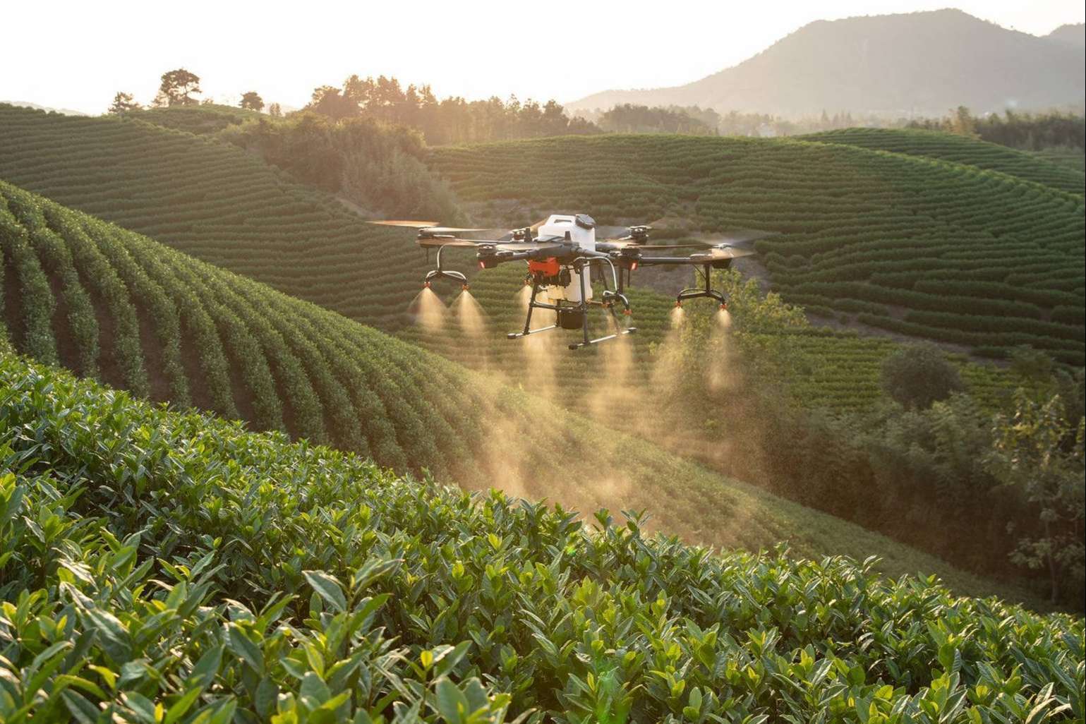 El nuevo modelo del futuro de la mano de IbericaDron, drones agricultura