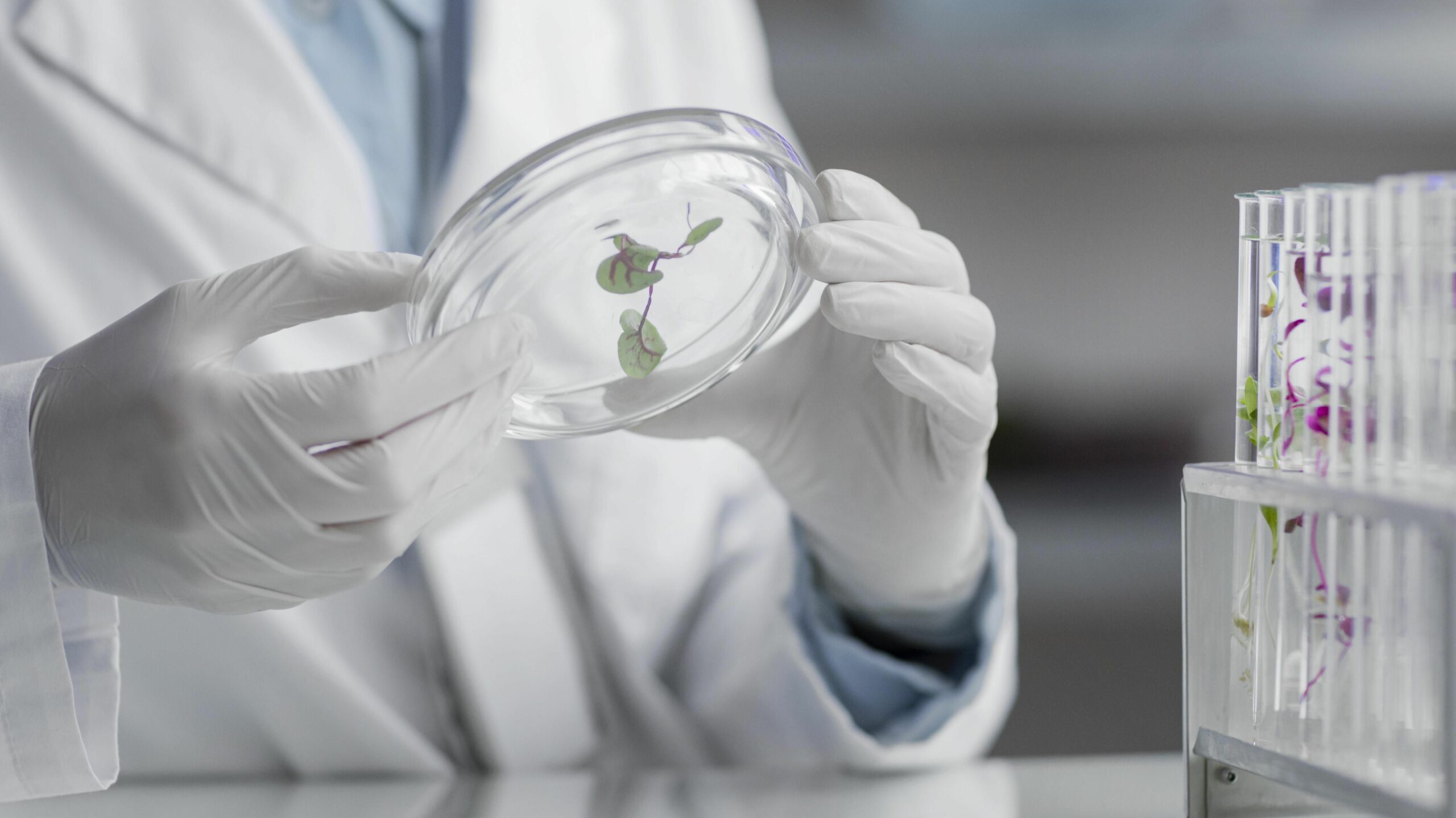 Arkopharma, primera marca en desarrollar sus productos de forma 100% natural, sin químicos