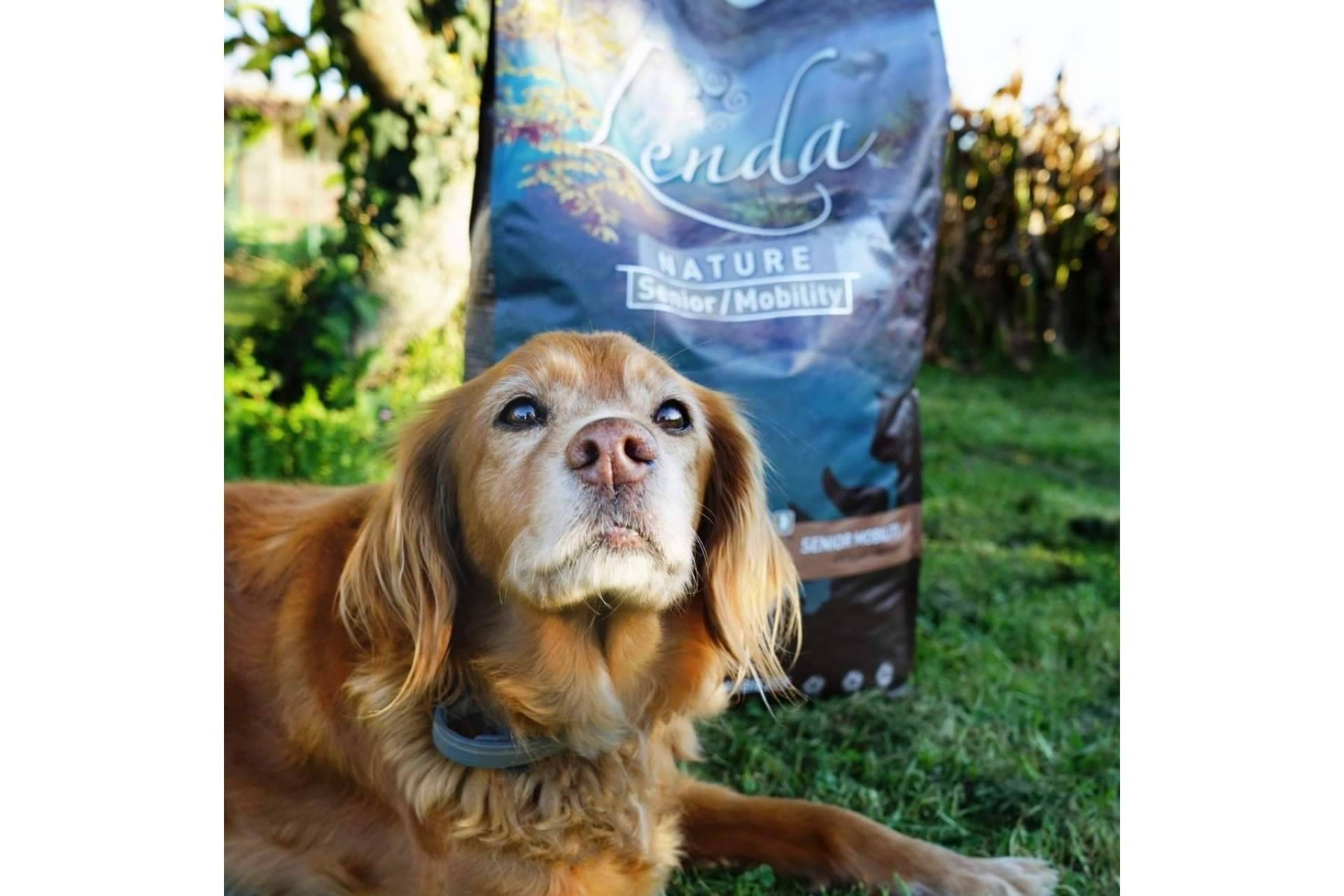 La alimentación para perros sénior de la marca española Lenda