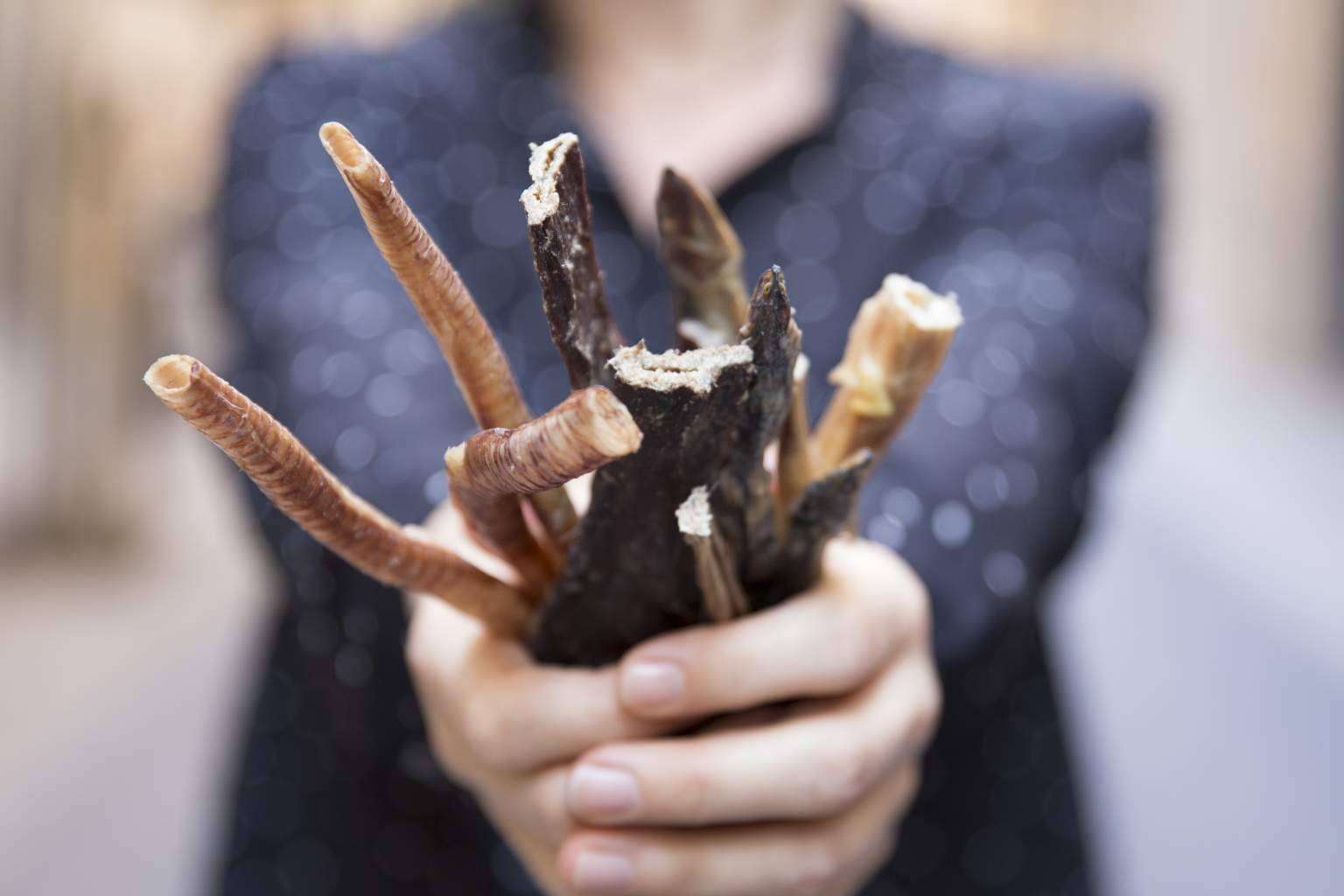 Los expertos de CRU recomiendan sus snacks saludables para perros