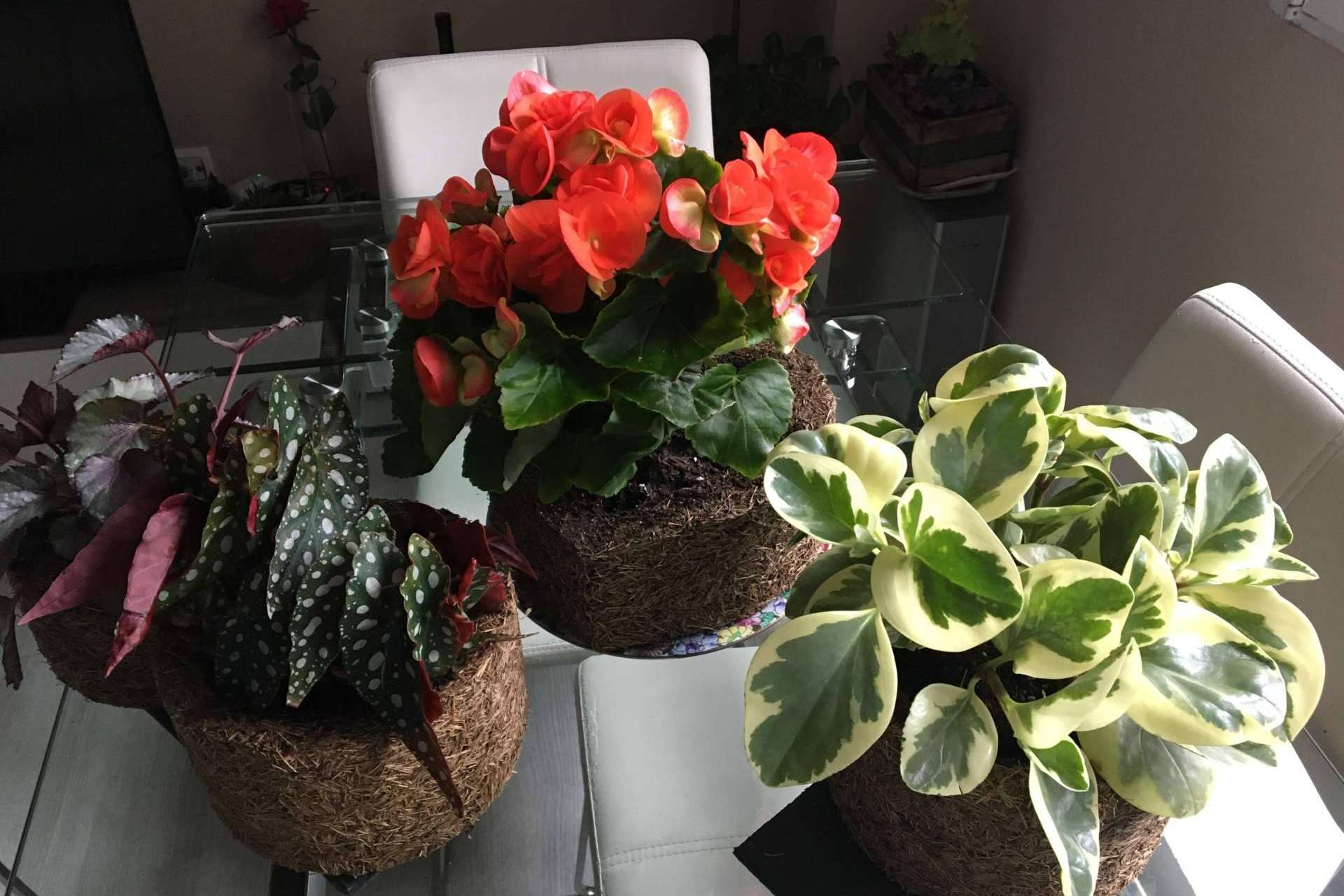 Dejar de usar plástico comienza a ser una prioridad para la salud humana y no una tendencia de decoración