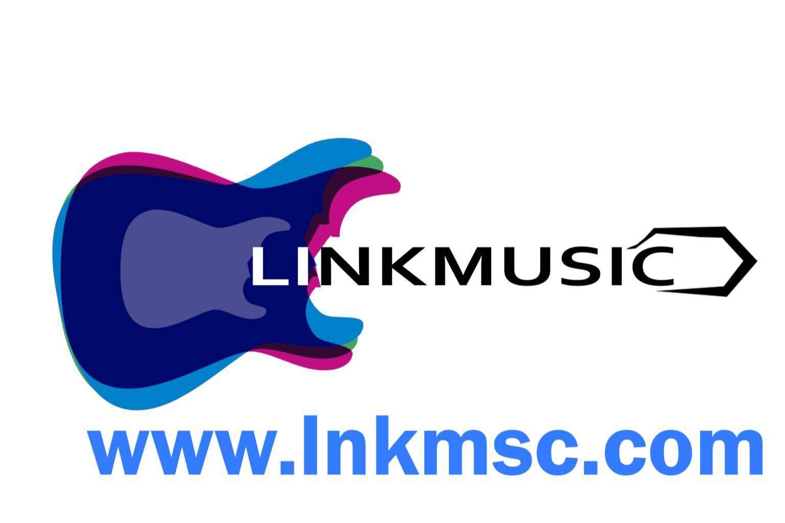 La plataforma especializada en música, Linkmusic