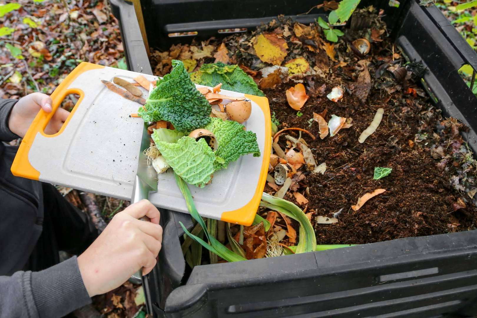 La forma de ayudar al medioambiente desde el jardín de casa
