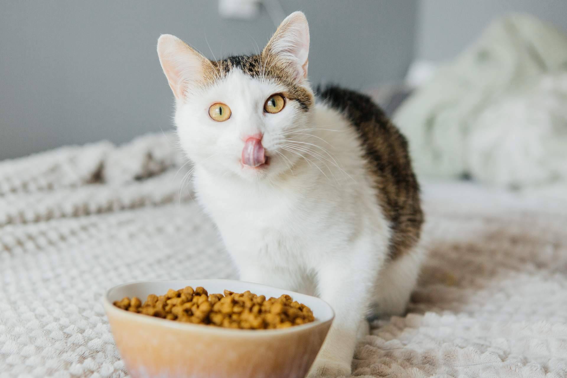 Pelu2paradise ofrece alimentación y snacks de origen natural para mascotas