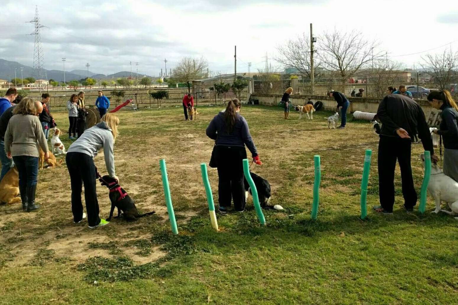 Adiestramiento canino, de la mano de la Asociación Española de Perros de Apoyo, para mejorar la relación entre perros y humanos