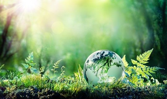 La Federación FAUNA advierte del peligro de extinción de especies en todo el mundo