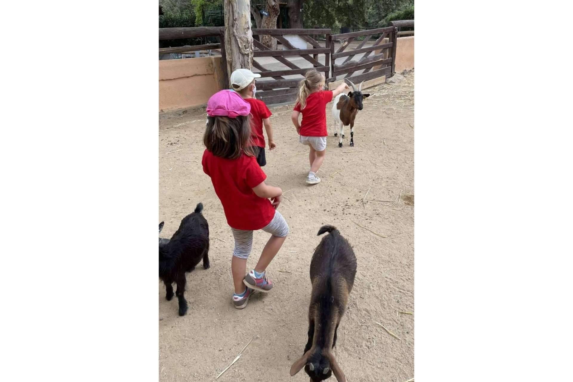 La Escuela Pàlcam pone en marcha el casal de verano